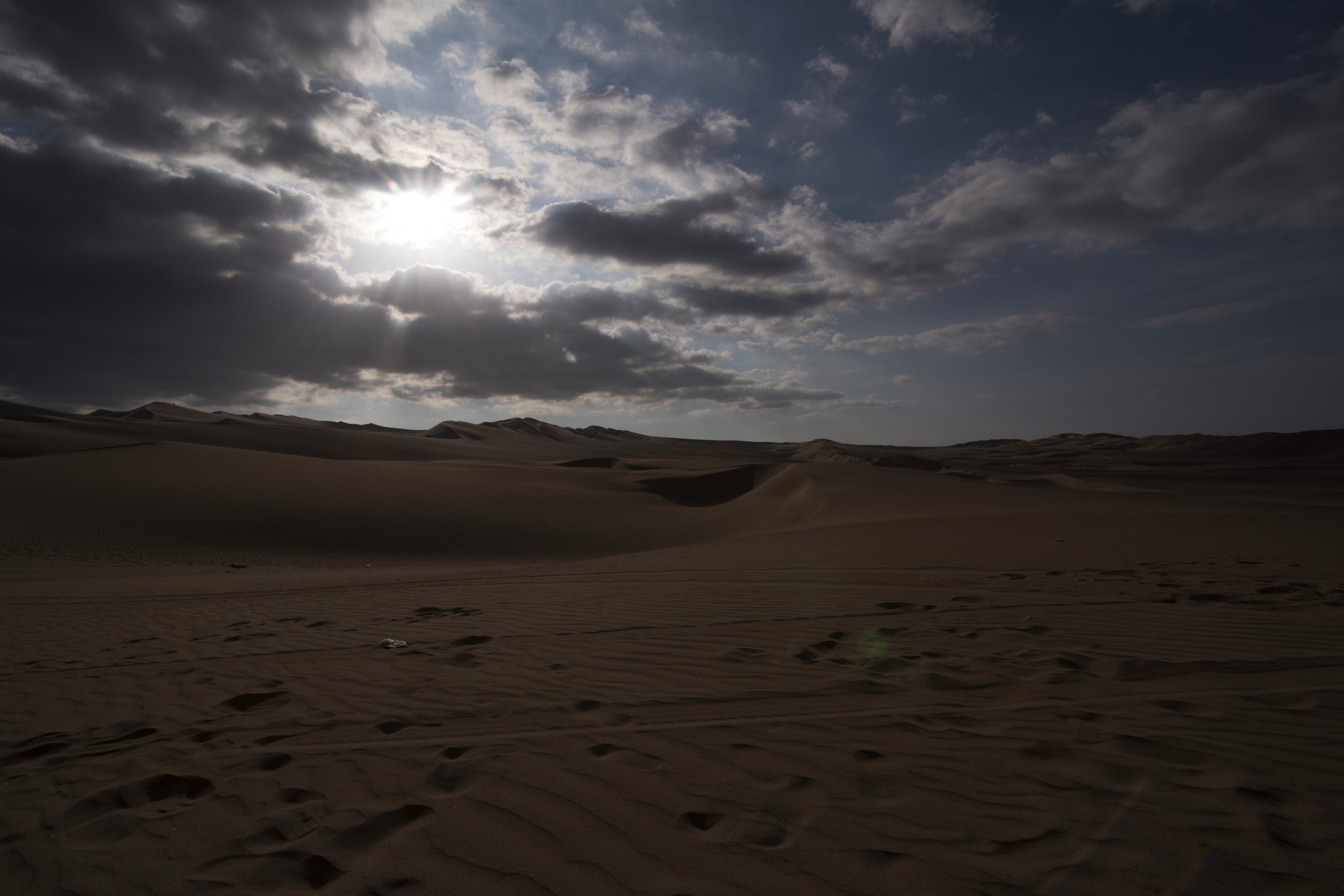 DSC_6366.jpg