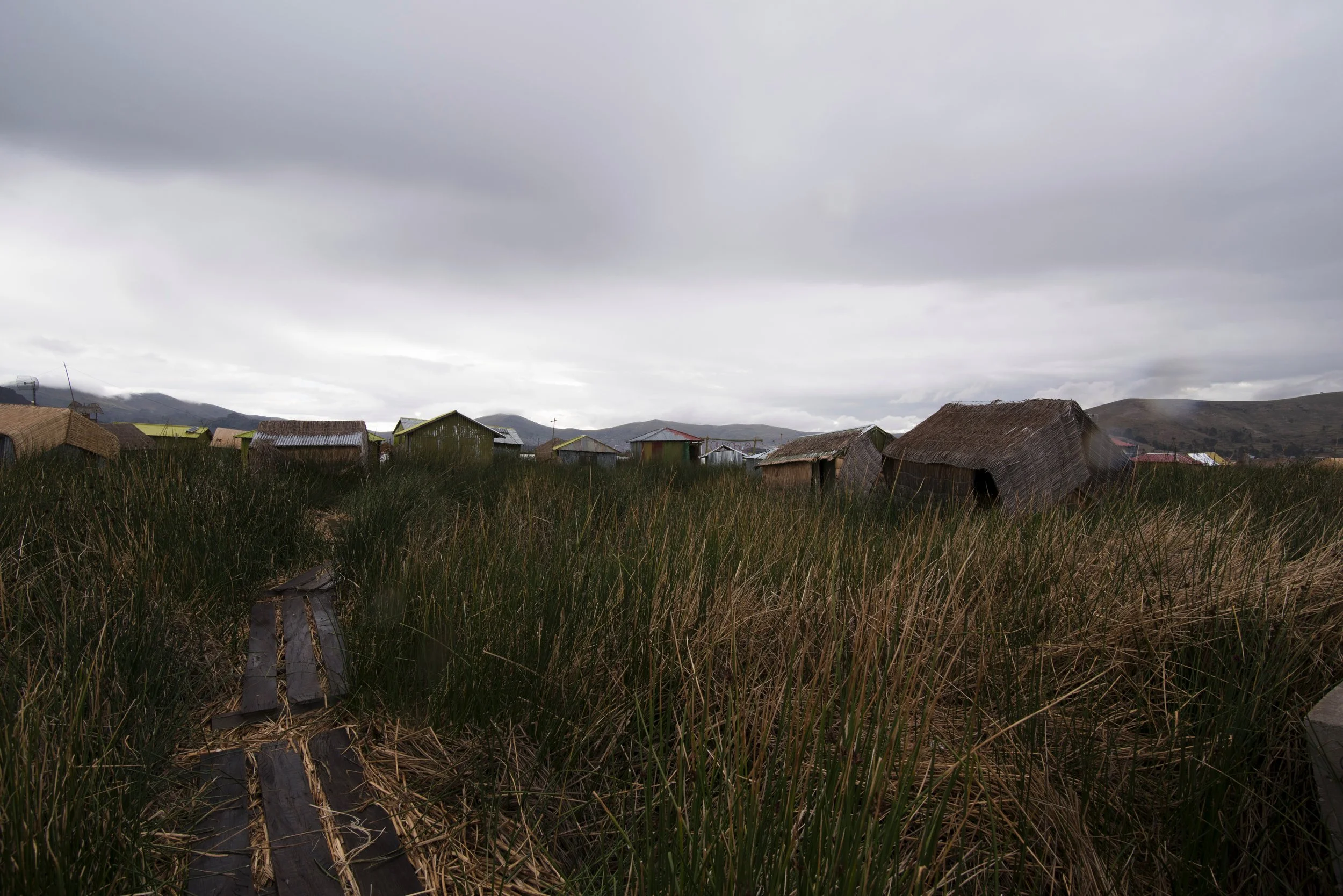 DSC_6833.jpg