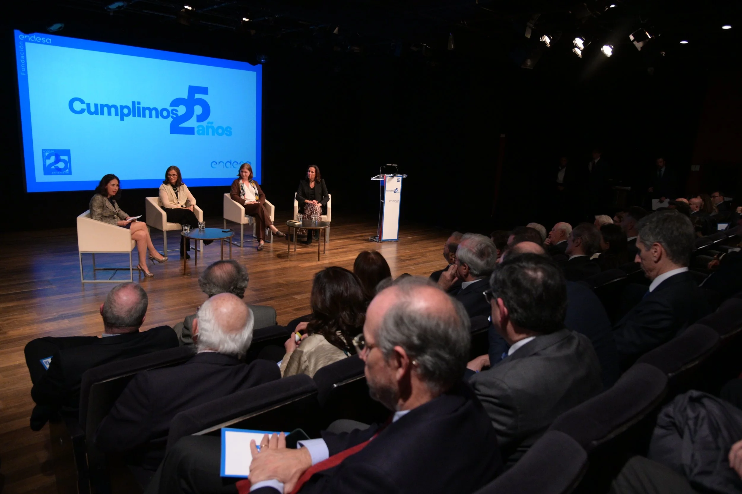 Aniversario Fundación Endesa 2.JPG