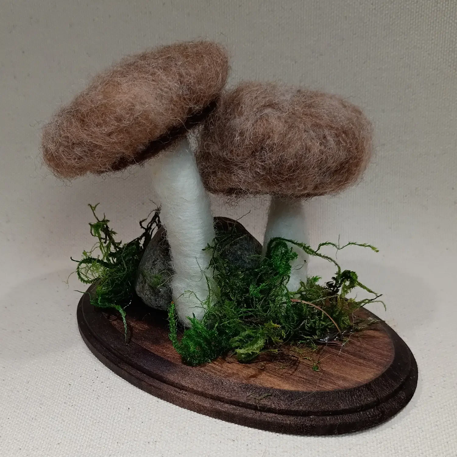 Mushrooms.webp