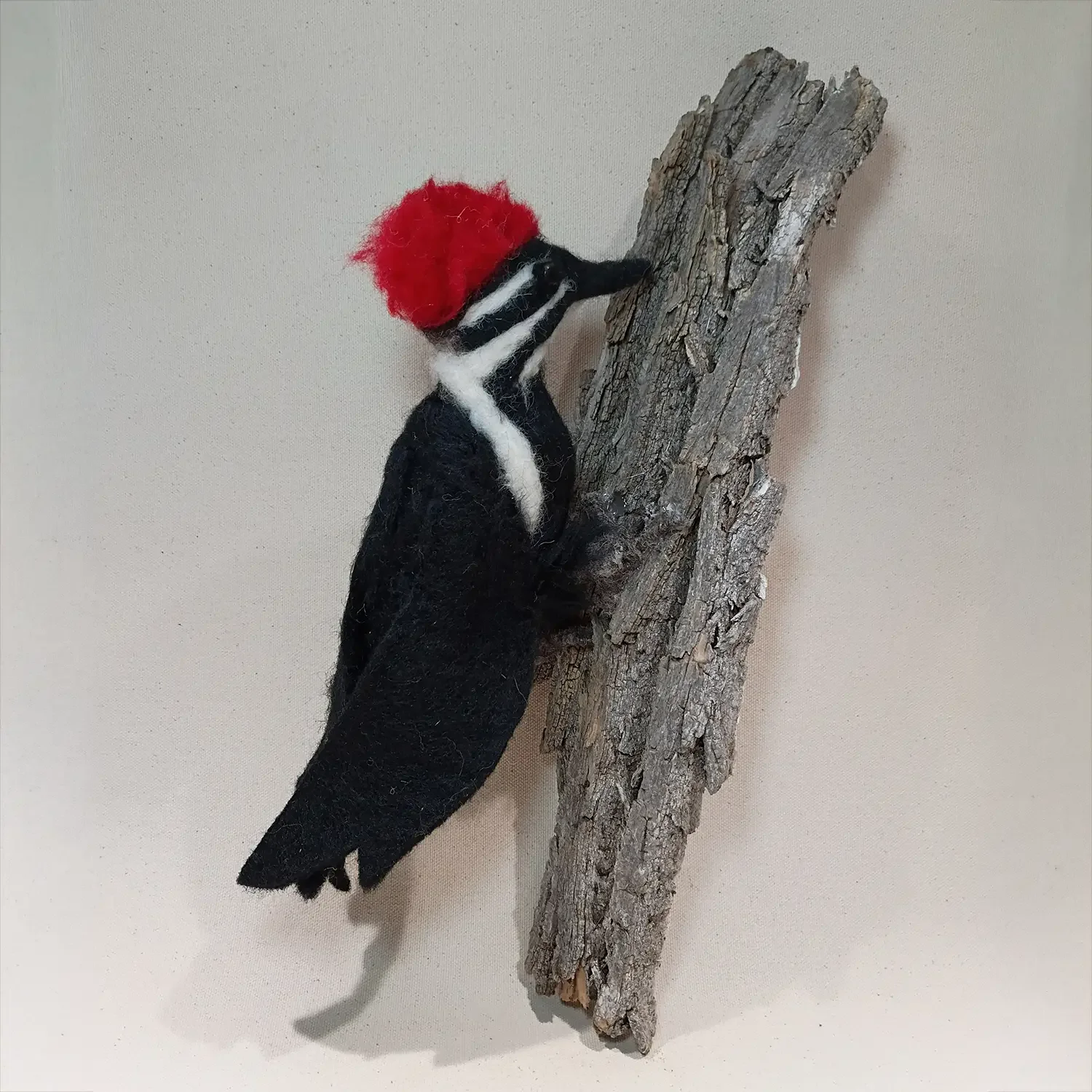 Woodpecker.webp