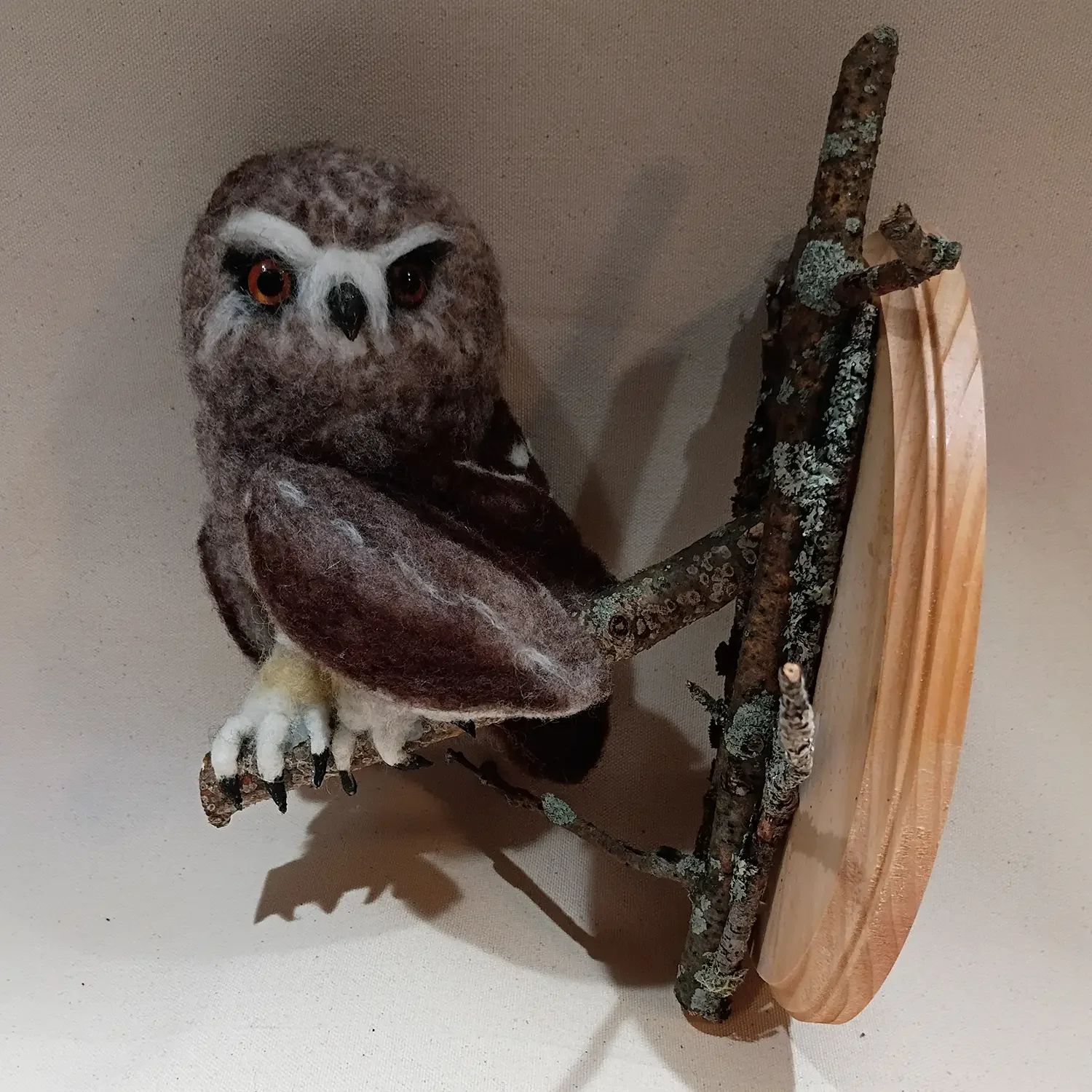 Owl.webp