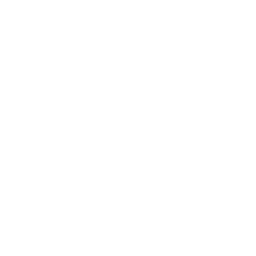 Turvallisuussertifikaatin symboli, suojakilpi, valkoinen