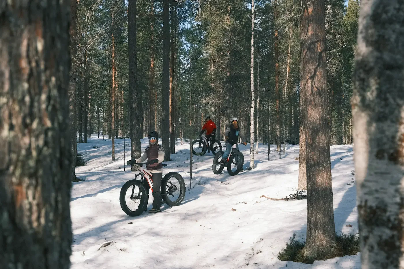 Kolme ihmistä harrastaa maastopyöräilyä lumisessa metsässä, kaikki ovat kypärissä ja istuvat polkupyörissä.