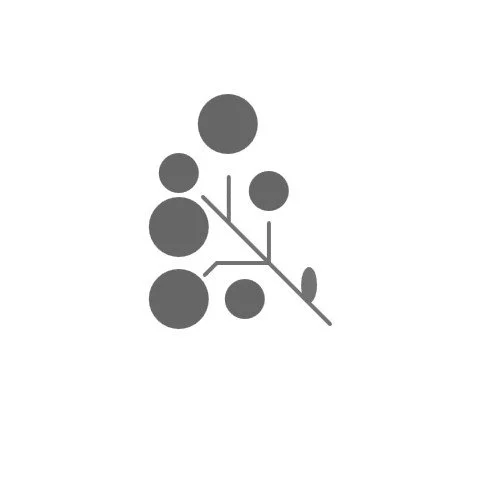 Psychosocial Risk Assessment icon
