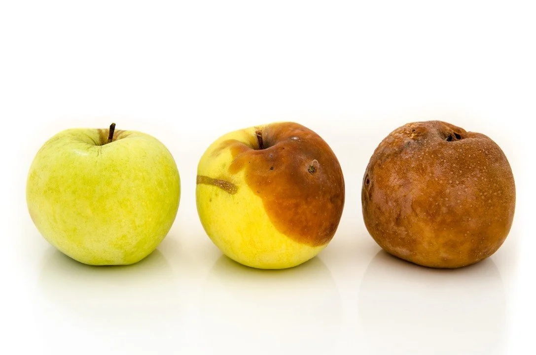 If you’re green you grow, if you’re ripe you rot!