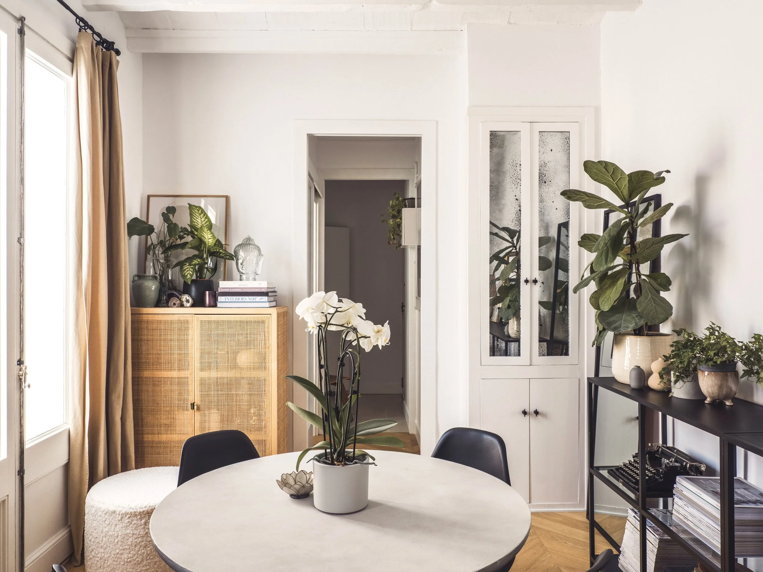 Living or dining room with a round table and potted plants, including a large plant with broad leaves, and books and decor on a sideboard. There is a white wall, a door or window with curtains, and a black shelving unit with books and decorative item