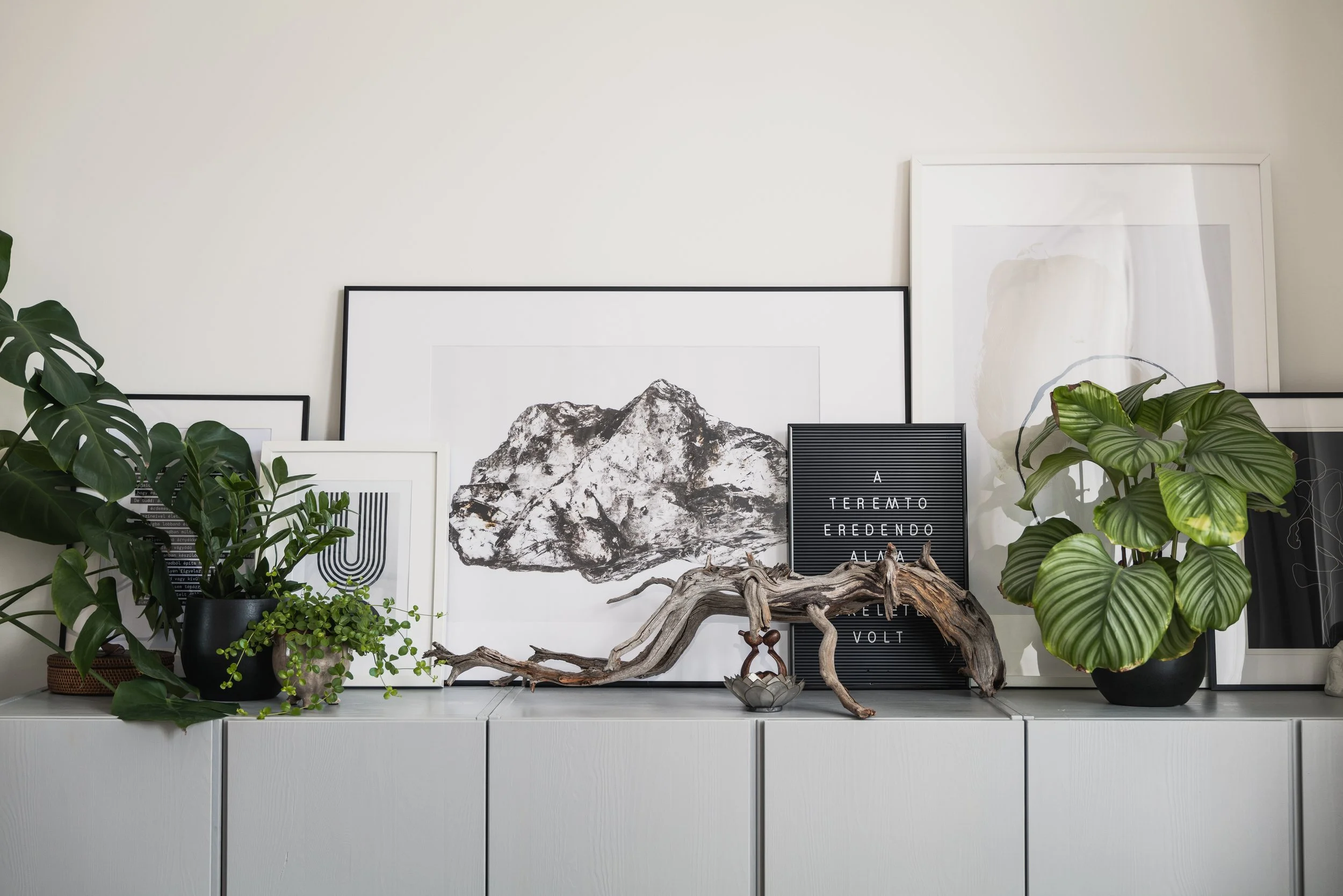Decorative display on a white cabinet with framed black and white artwork, potted green plants, and a twisted driftwood piece