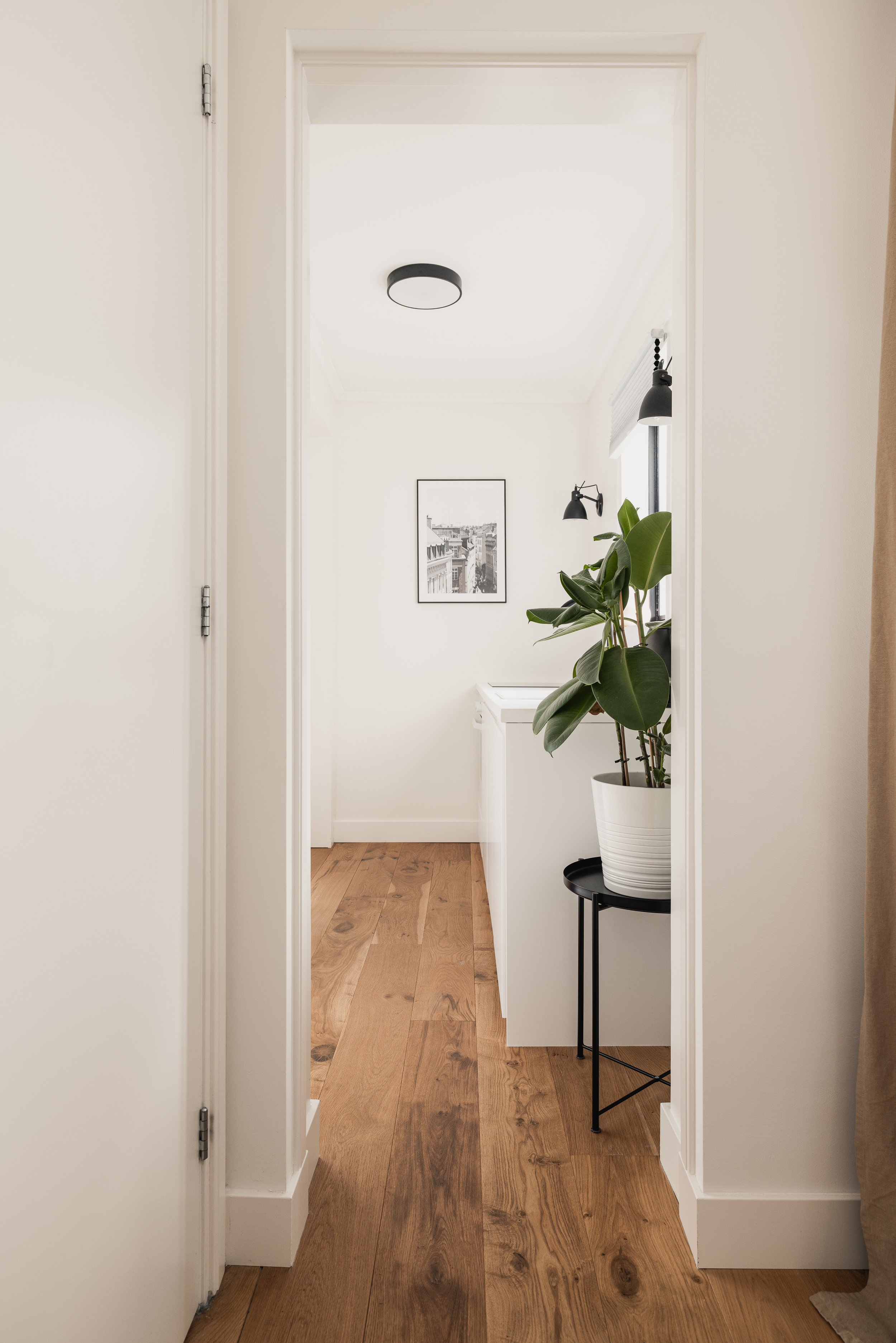 View into a minimalist room through a doorway with white walls, wooden flooring, a black and white framed picture on the wall, a black wall sconce, a large potted plant on a black stand, and a window with black blinds.