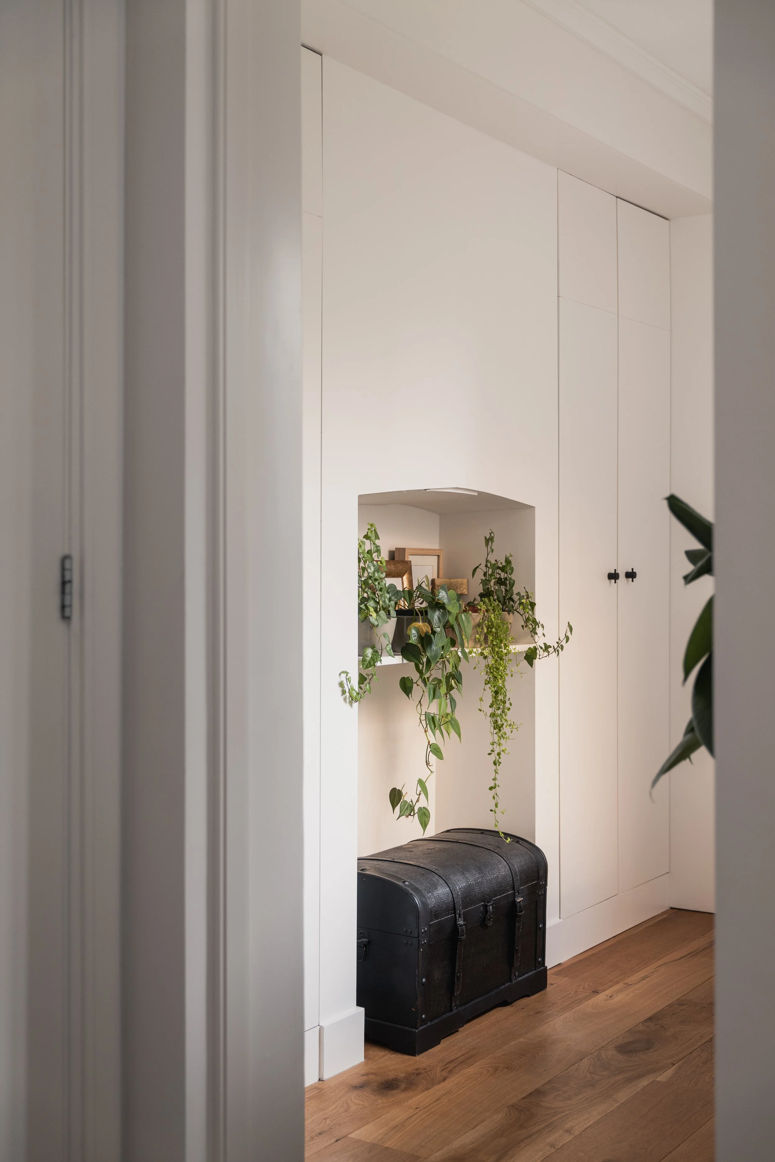 A small storage nook with a black vintage trunk, containing green plants and framed photos, inside a white built-in cabinet in a room with hardwood floors.
