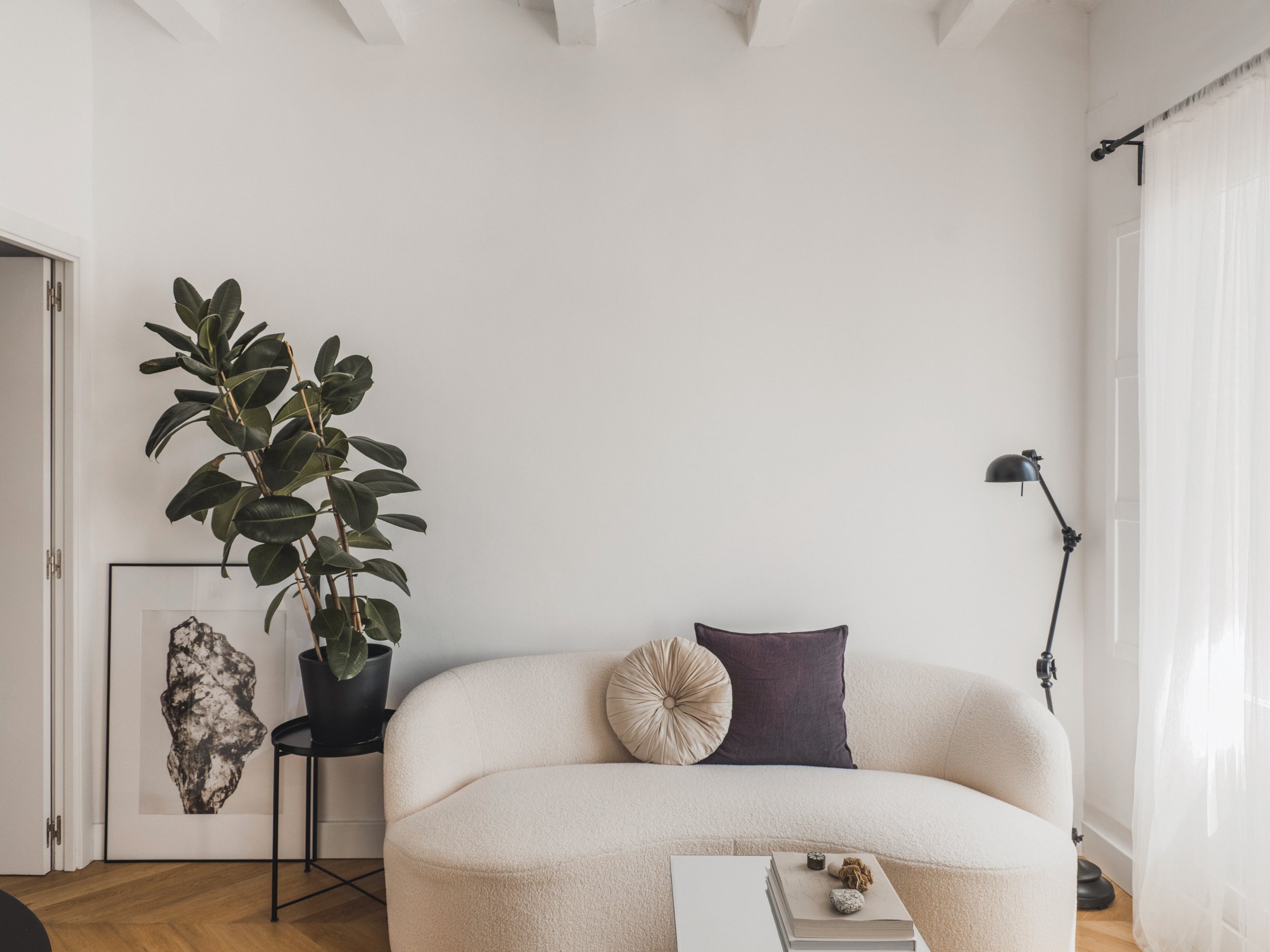 A cozy living room corner with a white couch, decorative pillows, a tall plant in a black pot, and a floor lamp beside a white wall with a door and sheer curtains.
