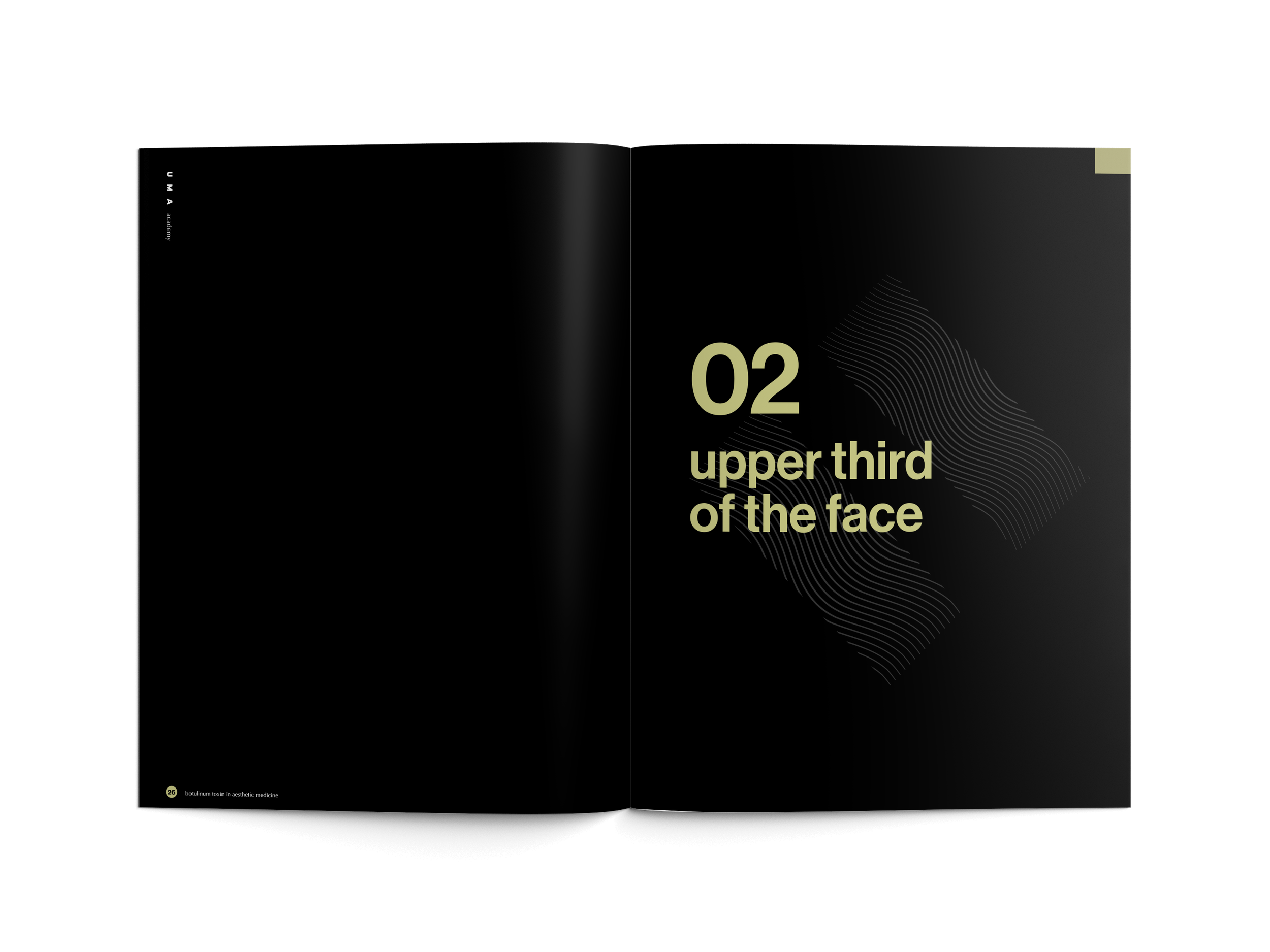 ©ESZTER.STUDIO_GRAPHIC DESIGN_UMA ACADEMY_BOOK 2_06.png