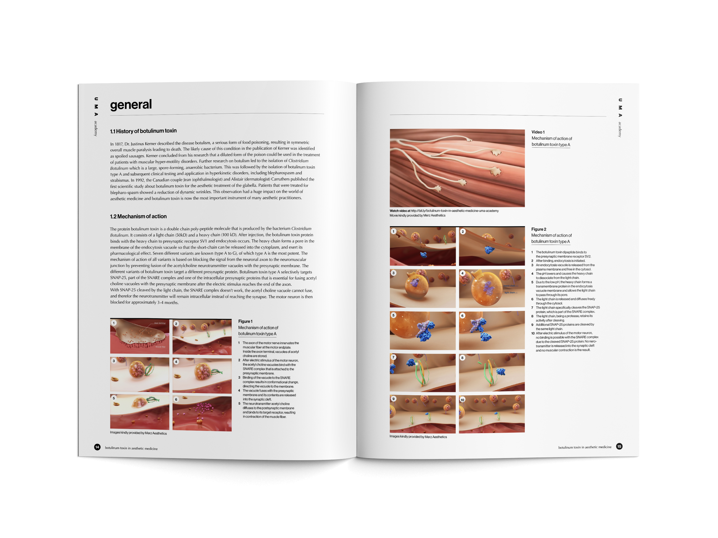 ©ESZTER.STUDIO_GRAPHIC DESIGN_UMA ACADEMY_BOOK 2_04.png