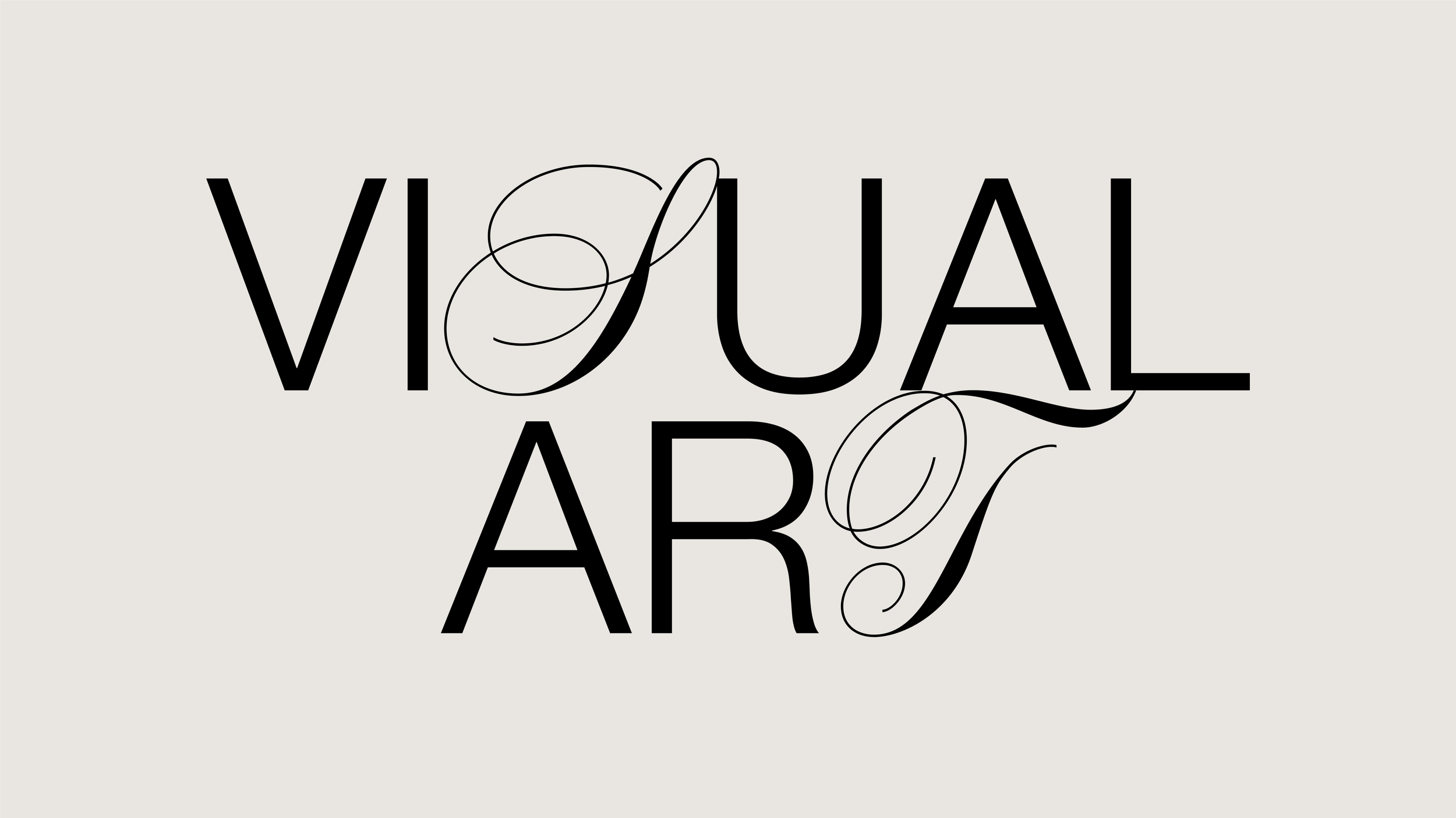 The phrase 'Visual Art' written in black serif and script fonts on a light background.