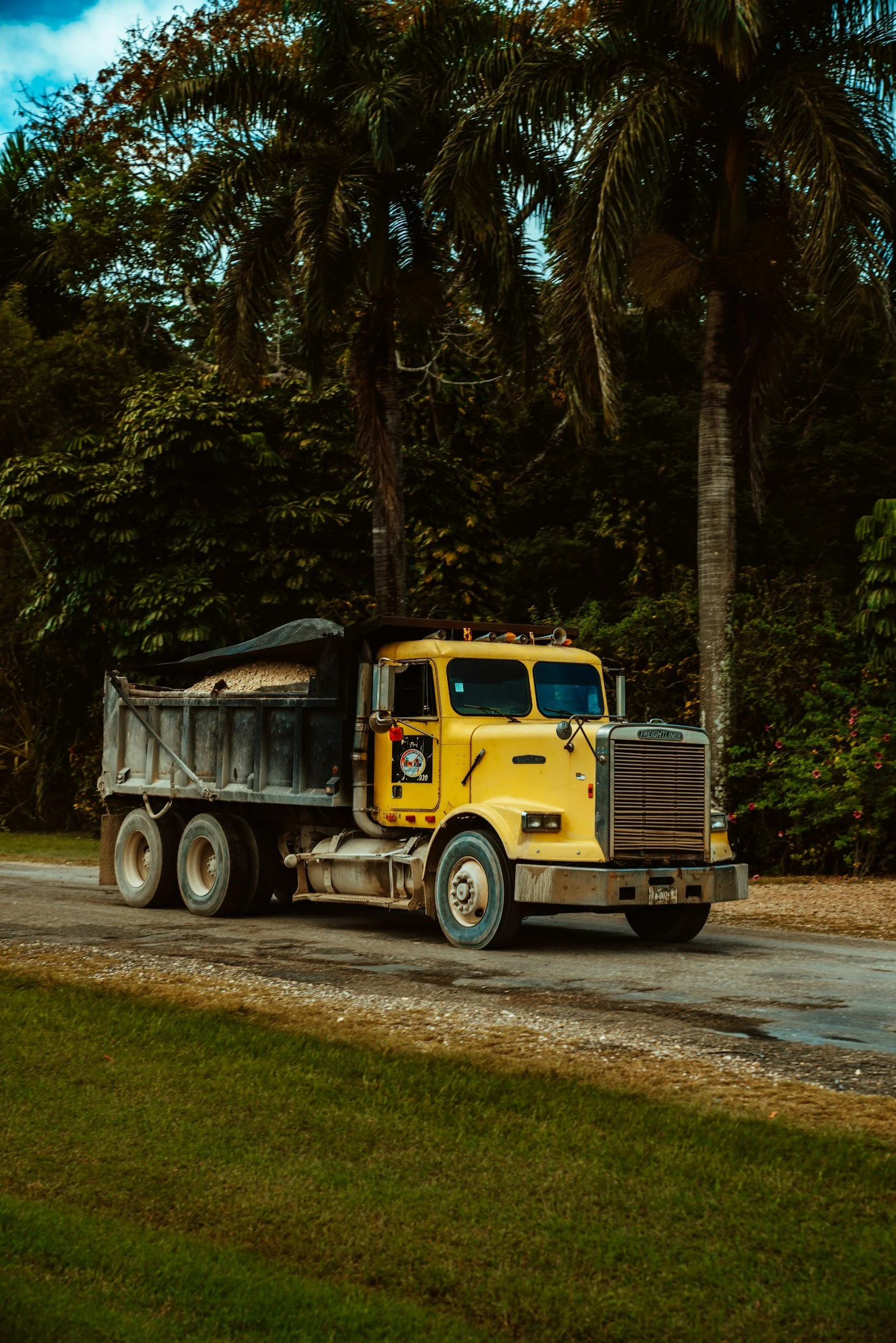 A yellow dump truck driving on a dirt road surrounded by dense tropical greenery, including tall palm trees.