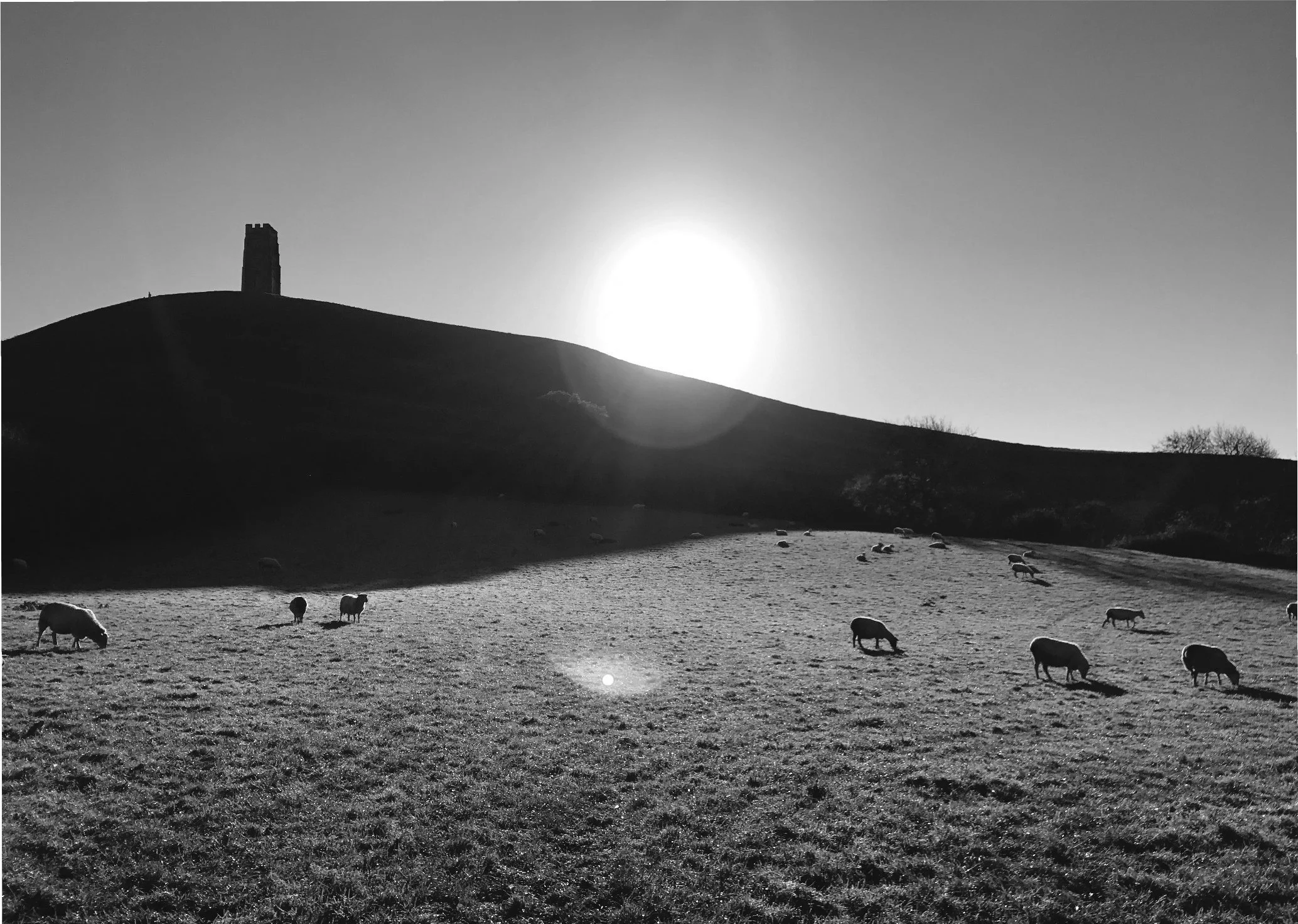 A black and white photo of a hill with a small tower on top, a large setting sun behind it, and a flock of sheep grazing on the grass in the foreground.