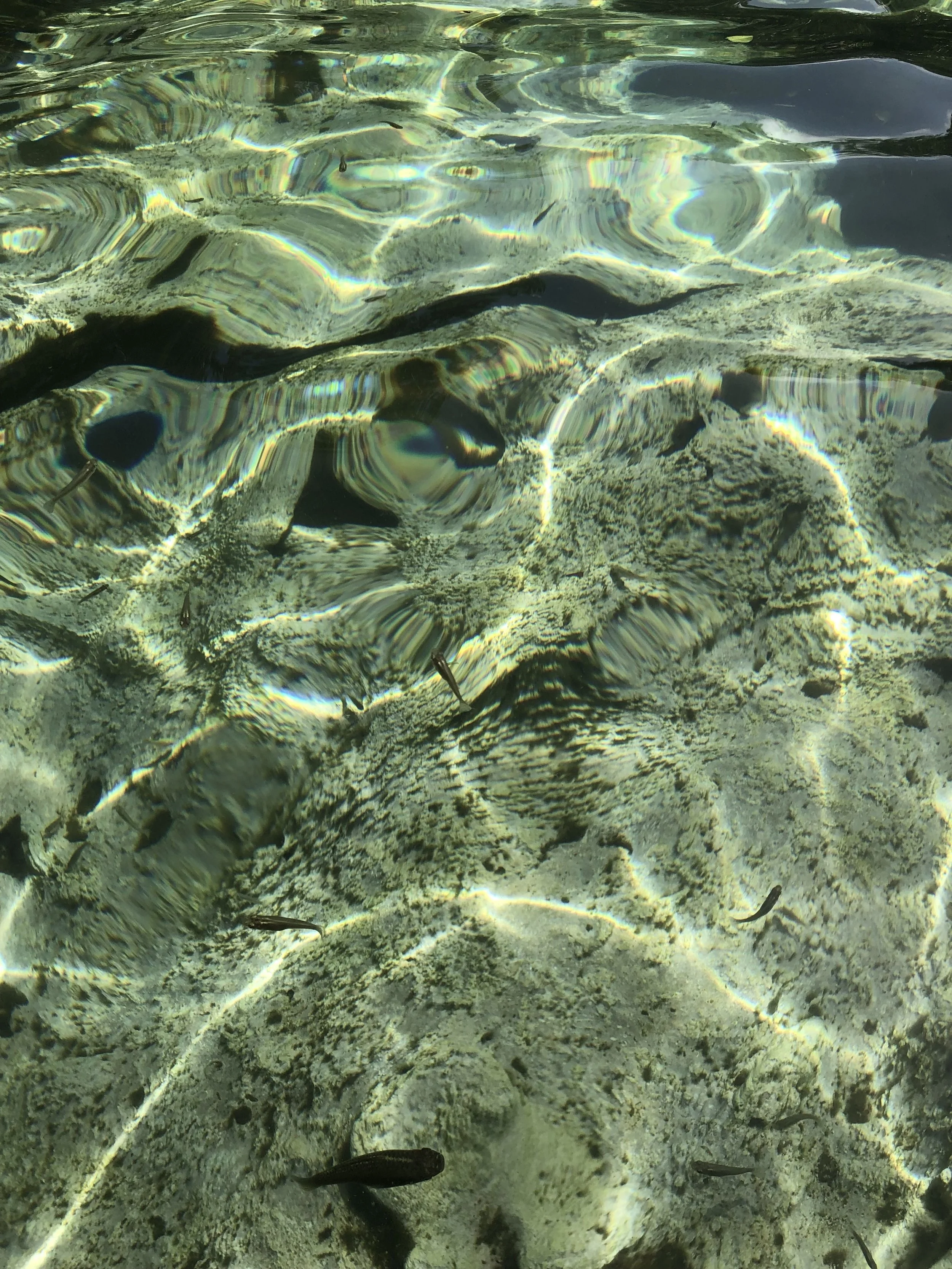 Clear shallow water with visible rocks and small fish swimming.