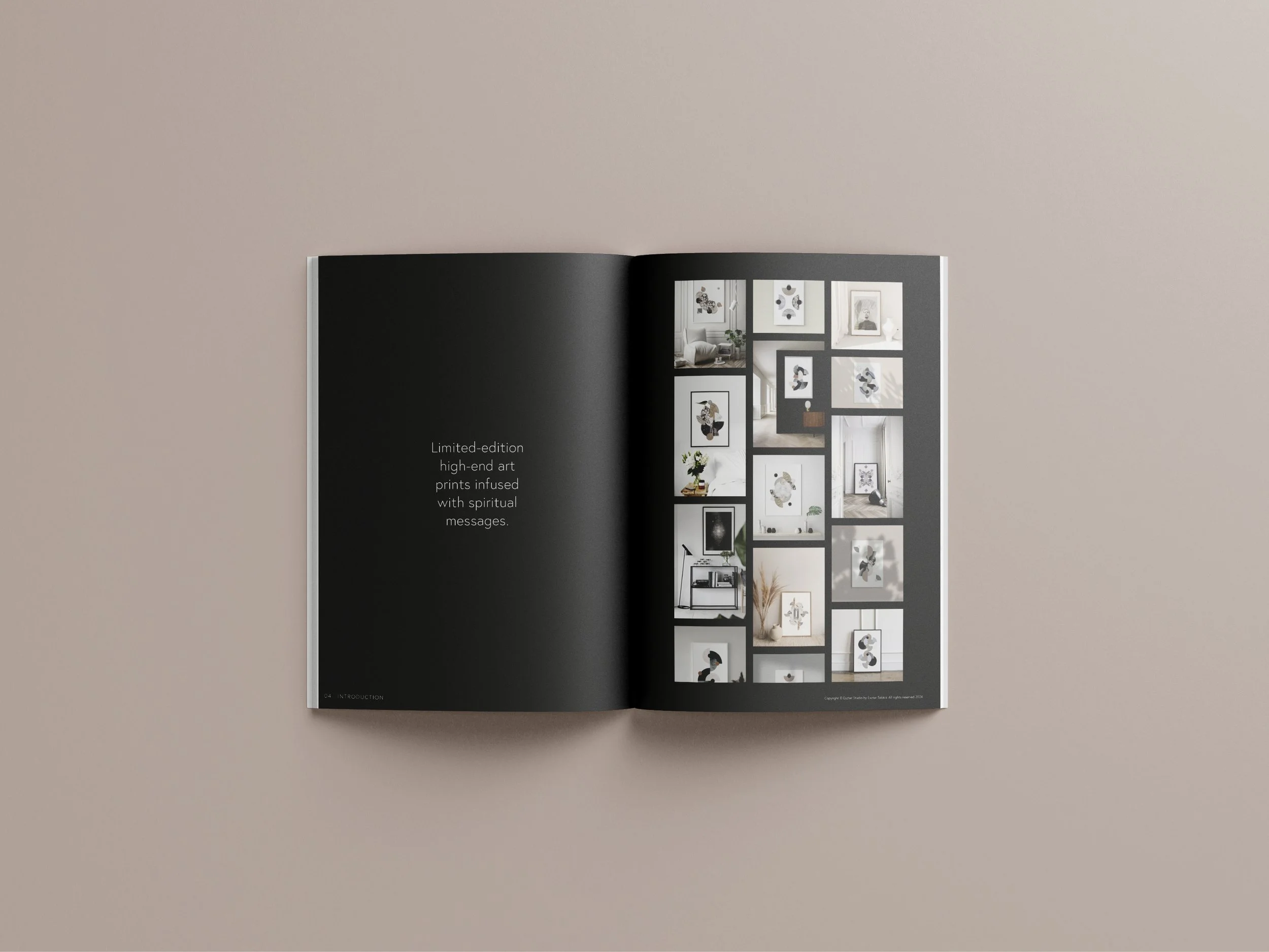 ARTIST'S BOOK