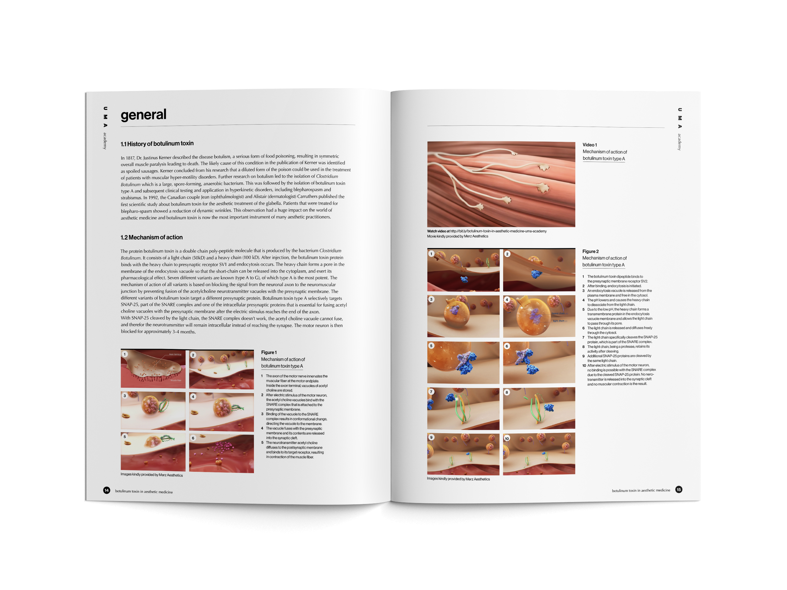 ©ESZTER.STUDIO_GRAPHIC DESIGN_UMA ACADEMY_BOOK 2_04.png