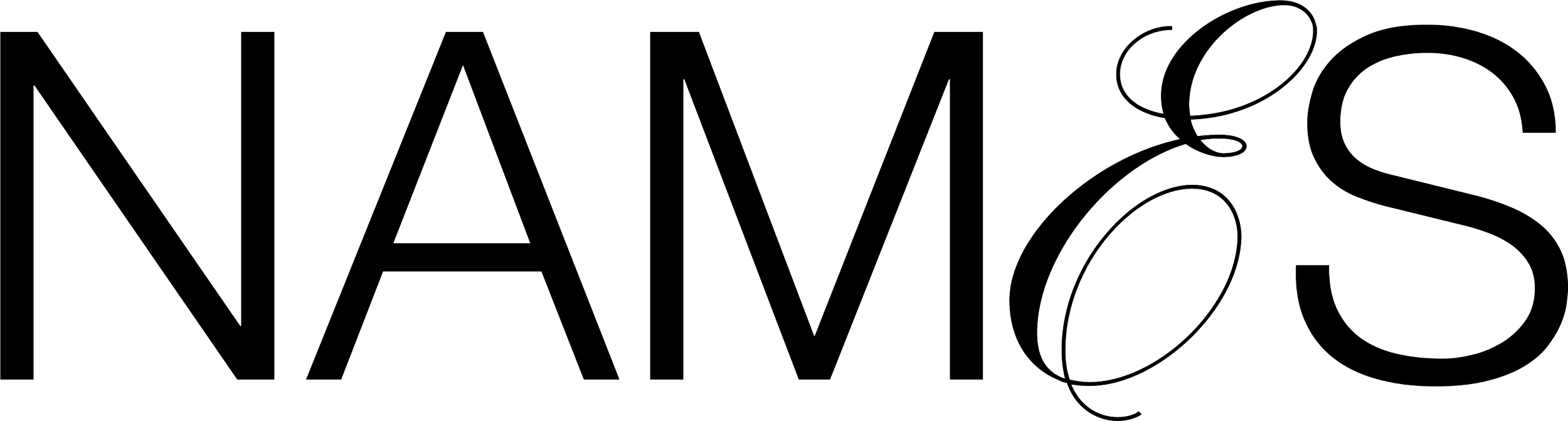 Outline of the word 'NAMICS' with stylized typography.