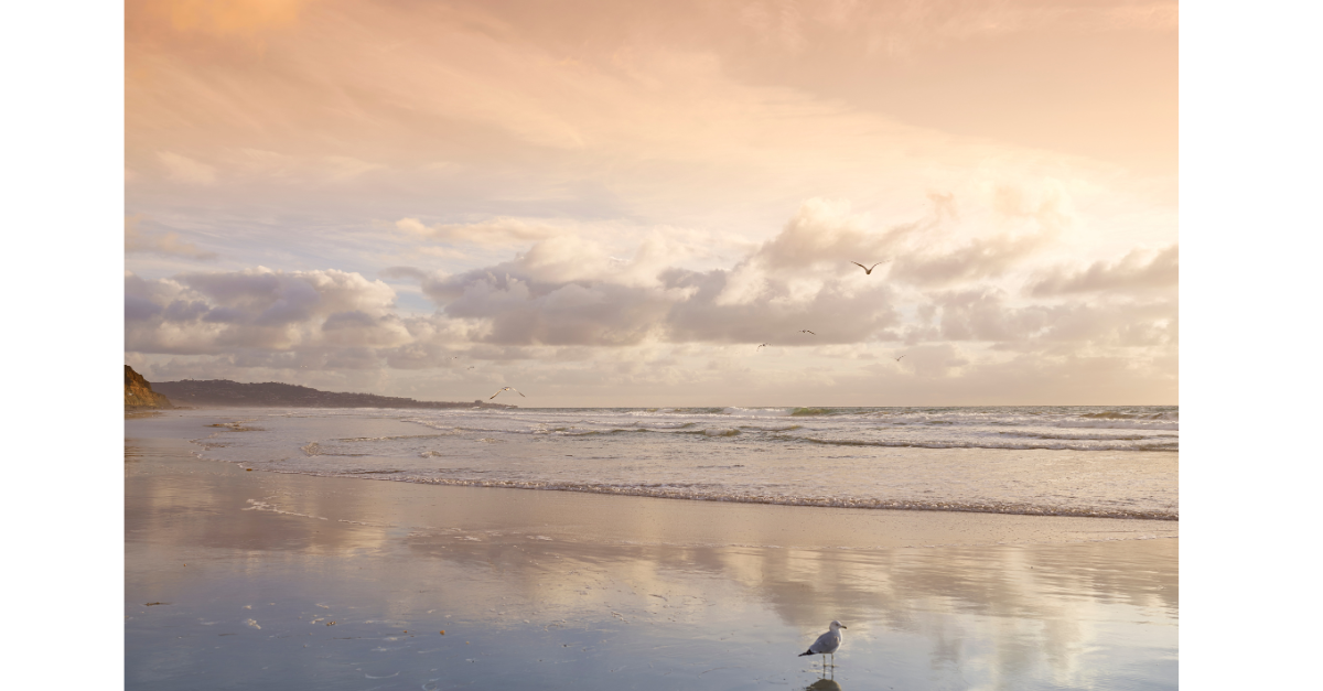 Beach at sunset with cloudy sky, seagull standing near the water, and waves gently crashing on shore.