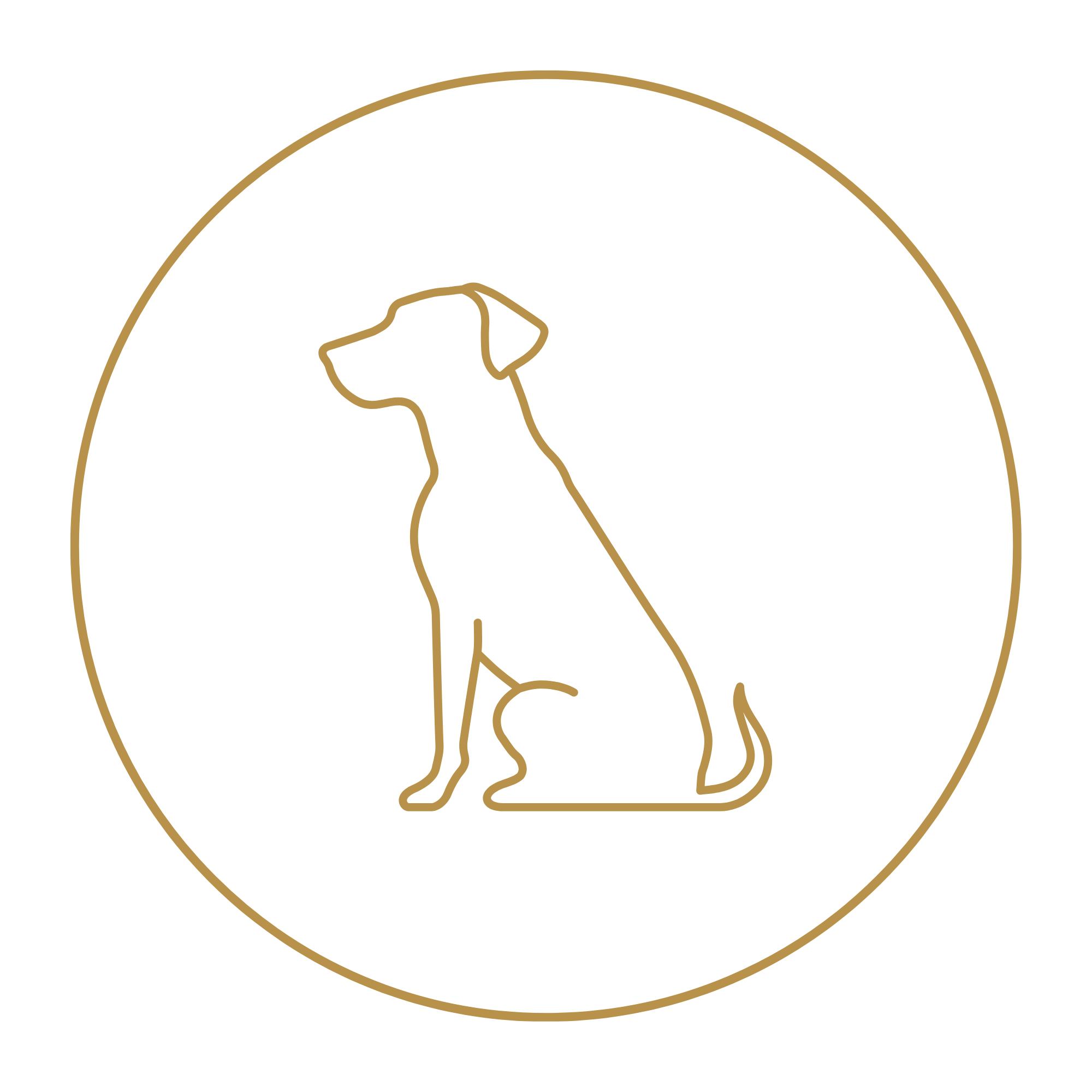 Outline of a sitting dog in golden circle.