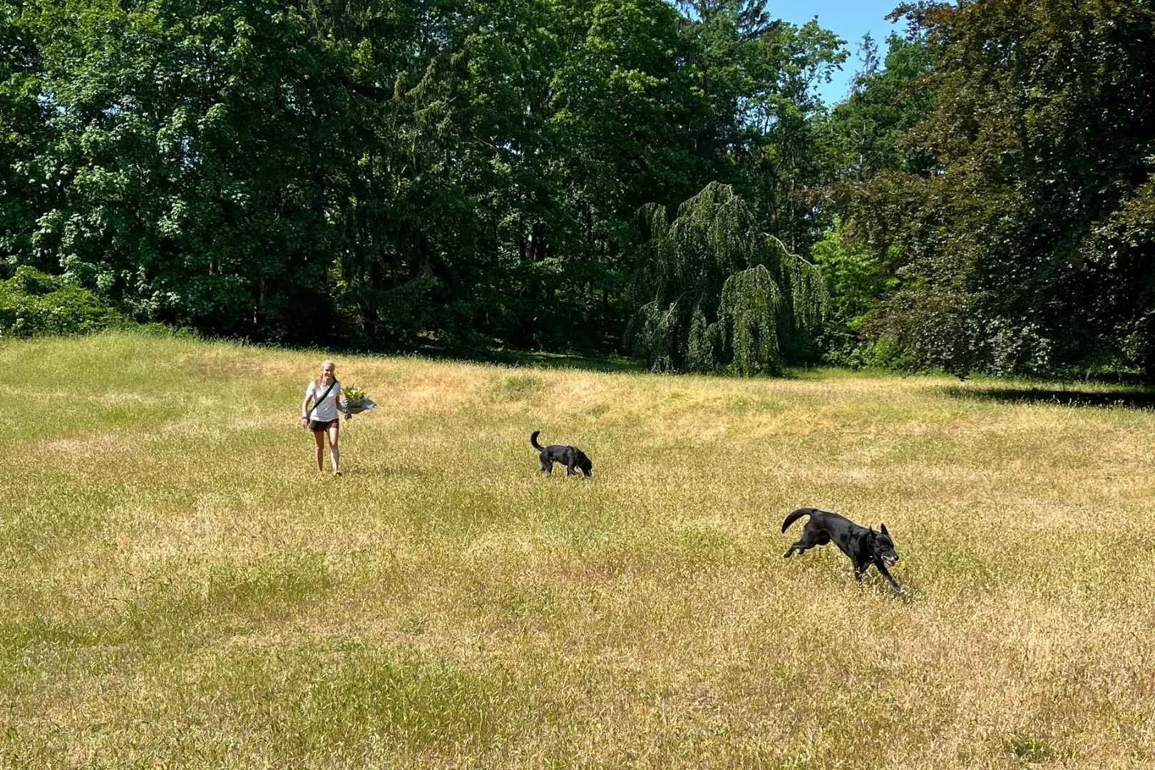 Walkie Pawkies Landscape Photos (4).jpg
