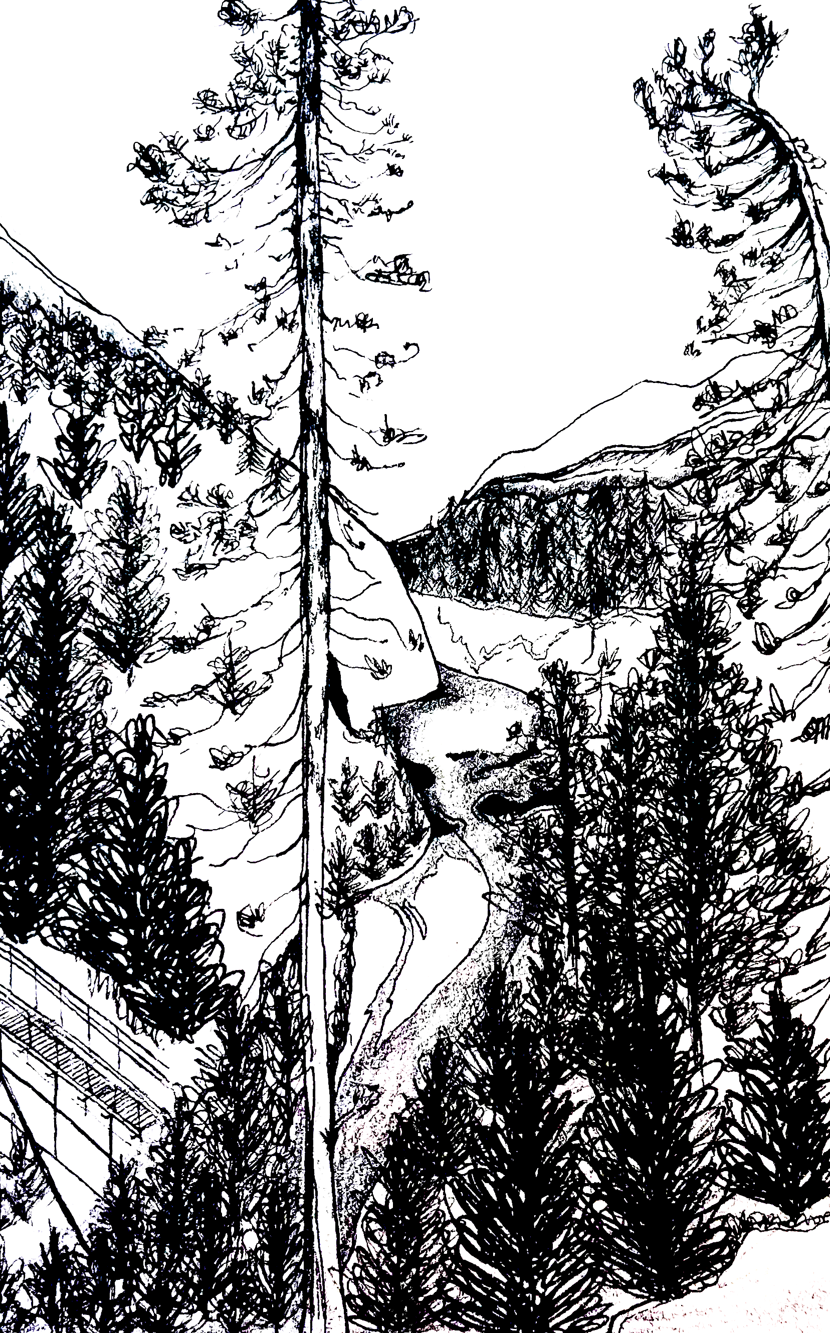 Lone Pine