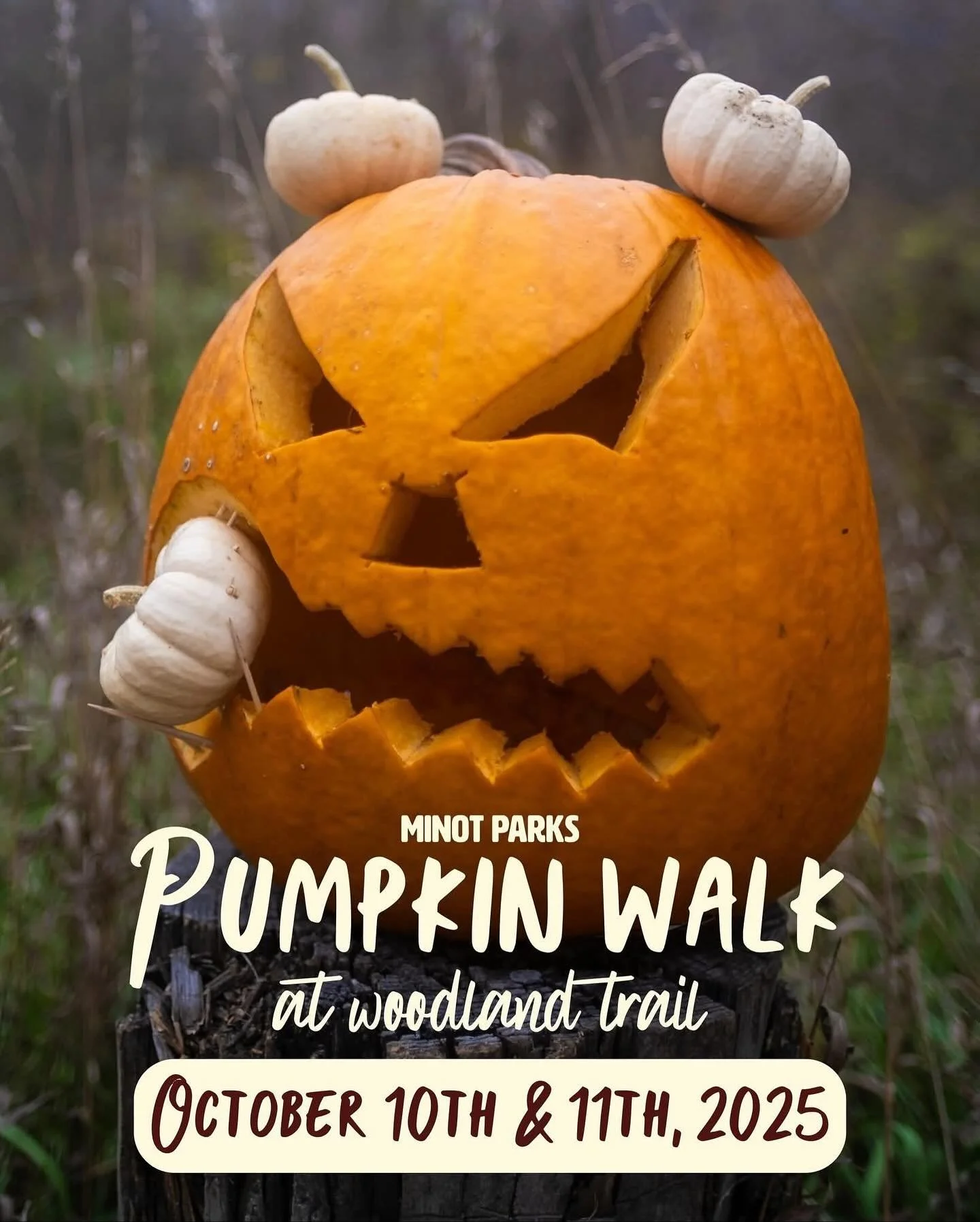 Reminder, please join us!! 🎃🍂 Parking for tonight&rsquo;s Pumpkin Walk at Woodland Trail where we will be hosting a spot for AFSA along the trail. 6pm - 9pm! 

 🚗 Parking will be at the Dog Park / Hoeven Baseball Complex (2905 7th Ave SW).
📍 Gues
