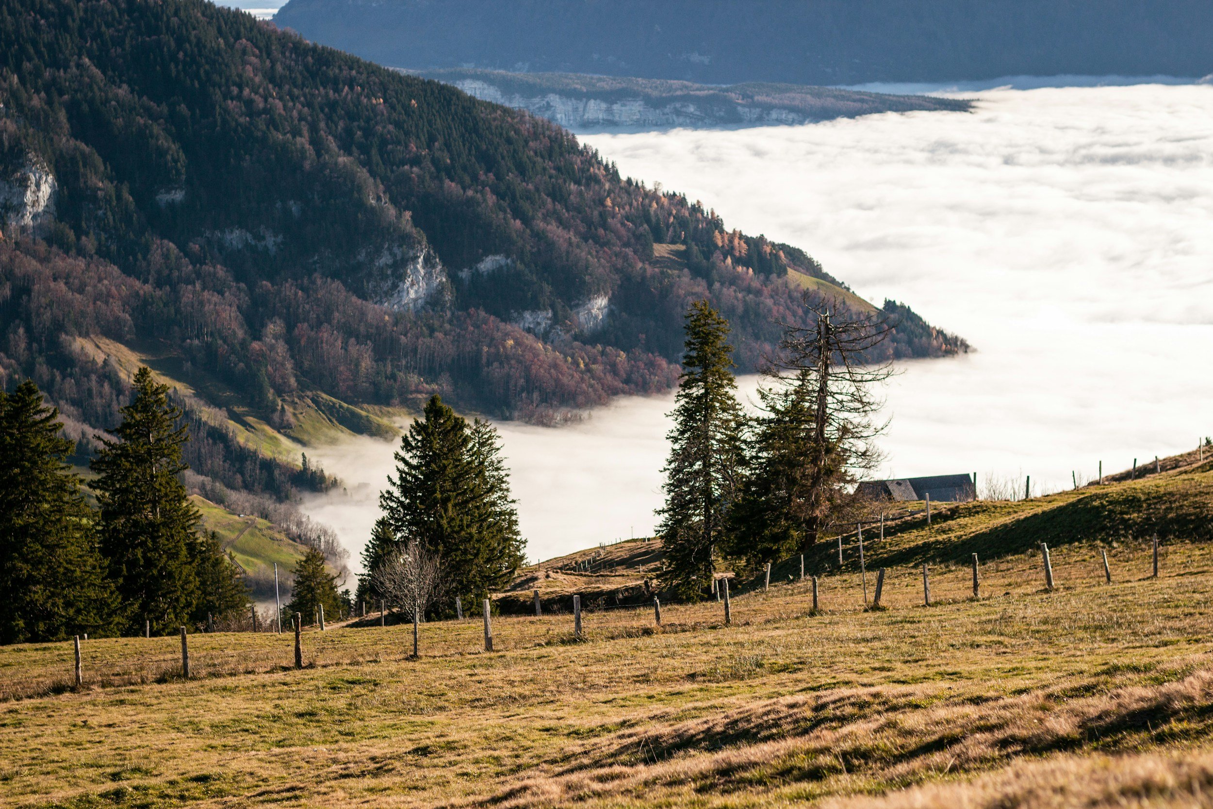 Green hills above clouds — the Inversion Leadership metaphor for clarity above complexity