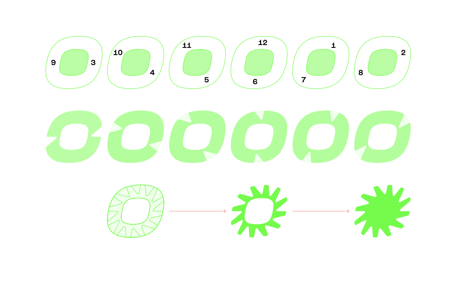 branding design for loop straps