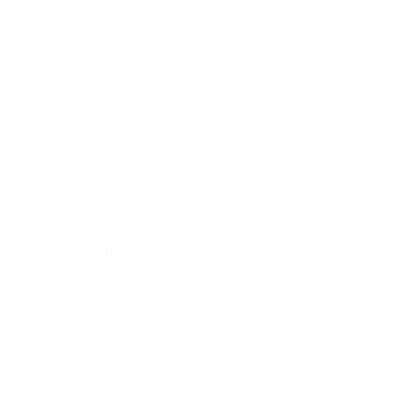 Logo avec dessin stylisé et texte 'Galerie Vision Suisse' en dessous