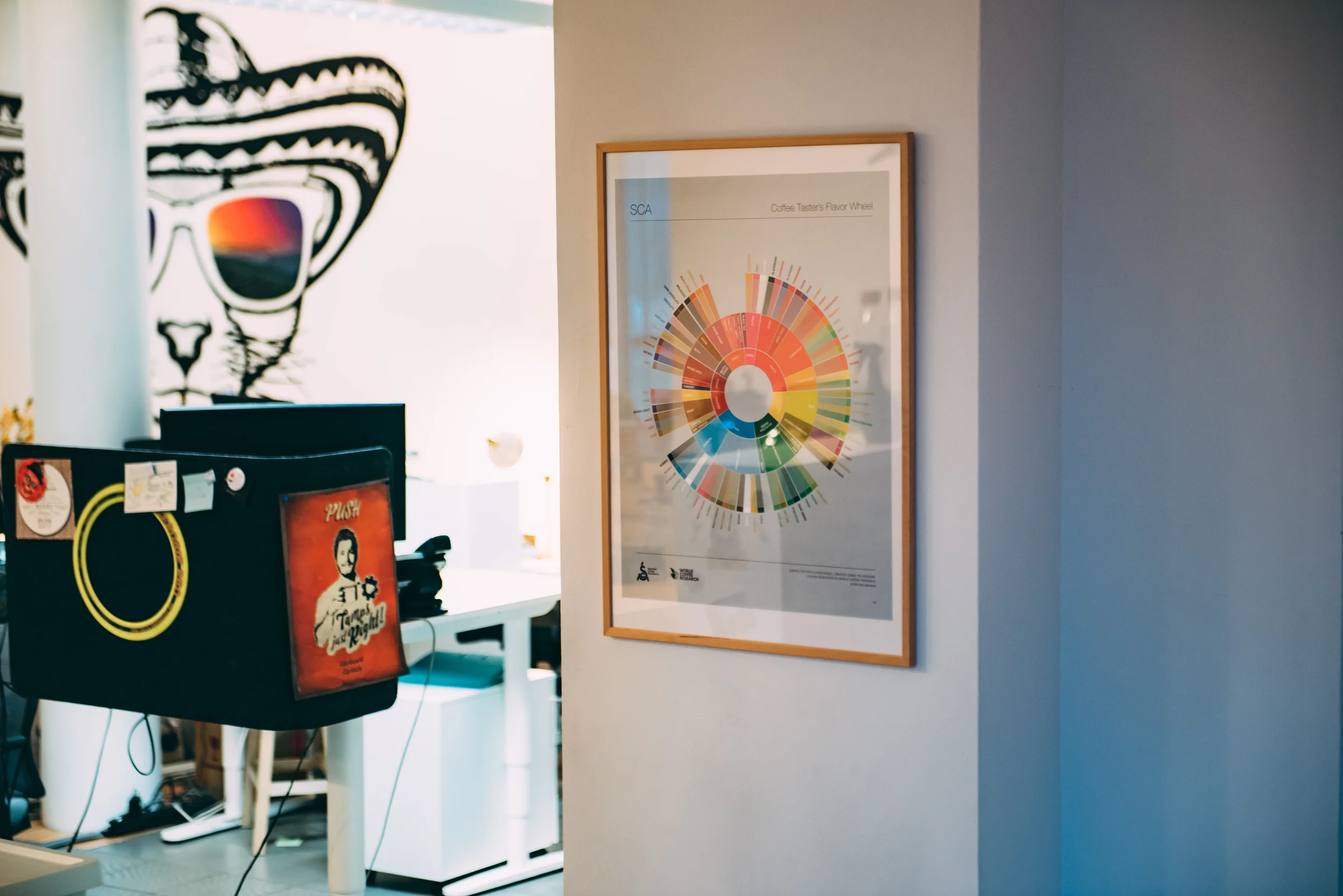 SCA Coffee Taster's Flavor Wheel framed on a wall