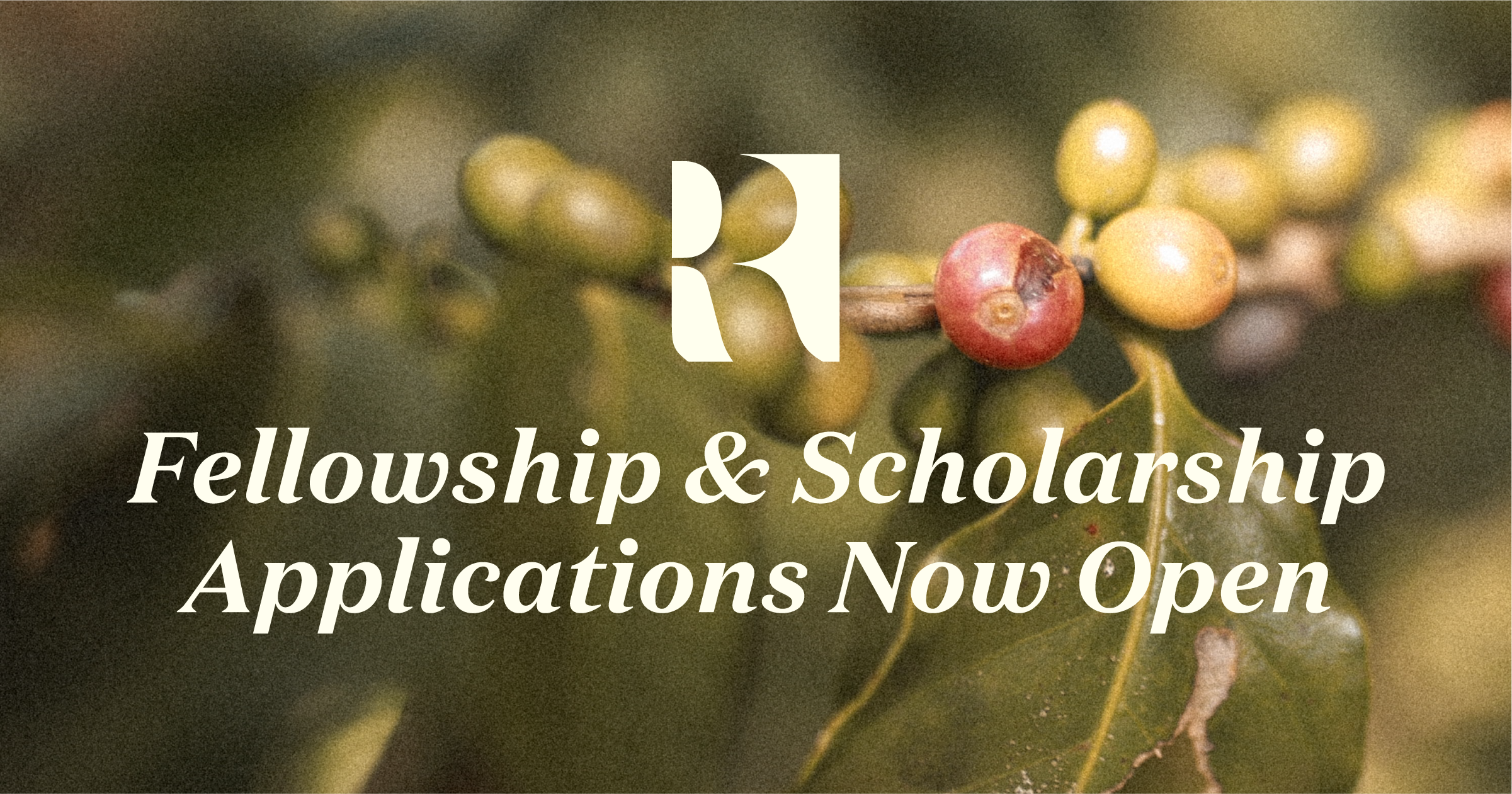 Re:co Fellowship &amp; Scholarship Applications Are Now Open