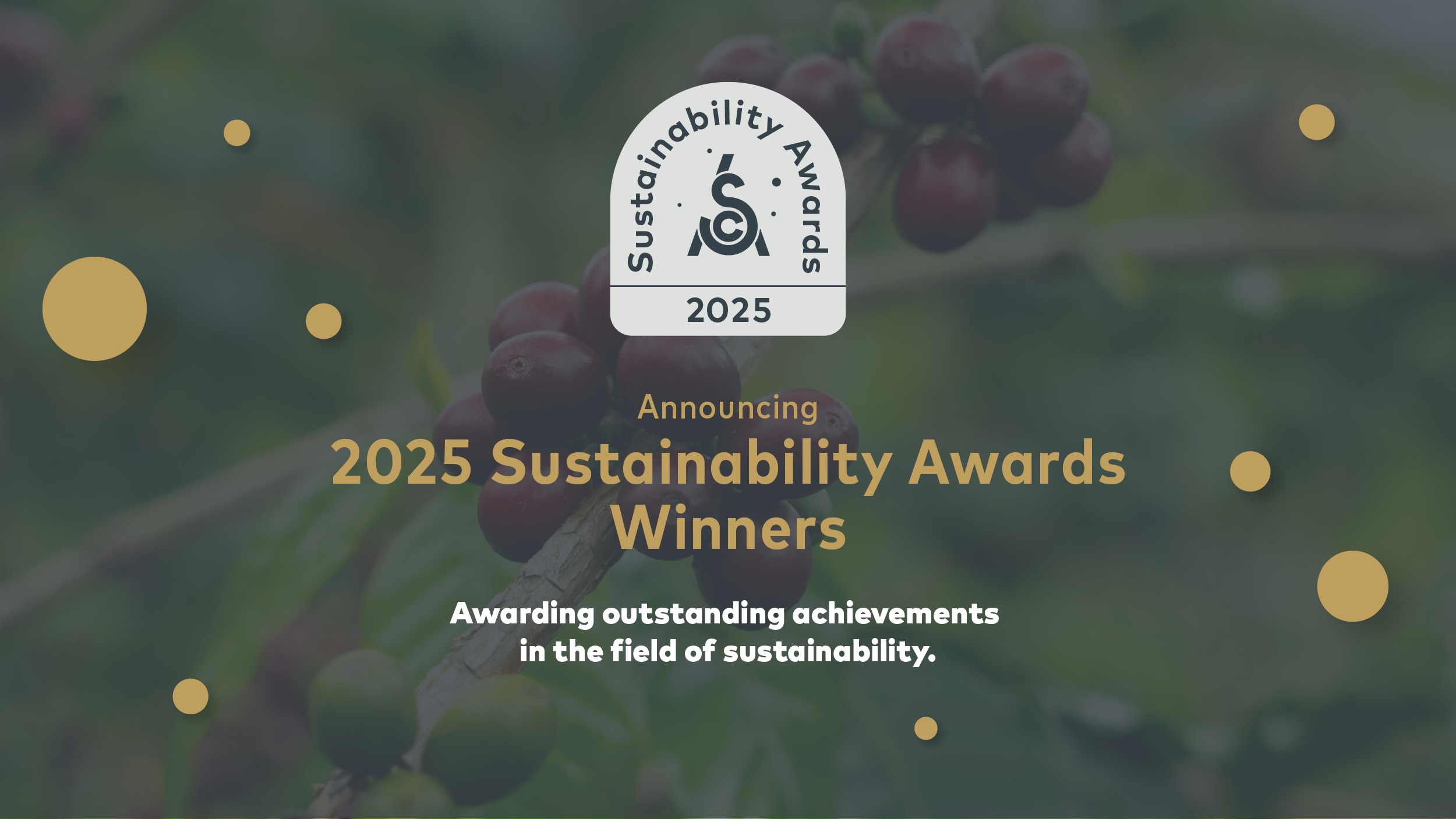Meet the Winners of the 2025 SCA Sustainability Awards 