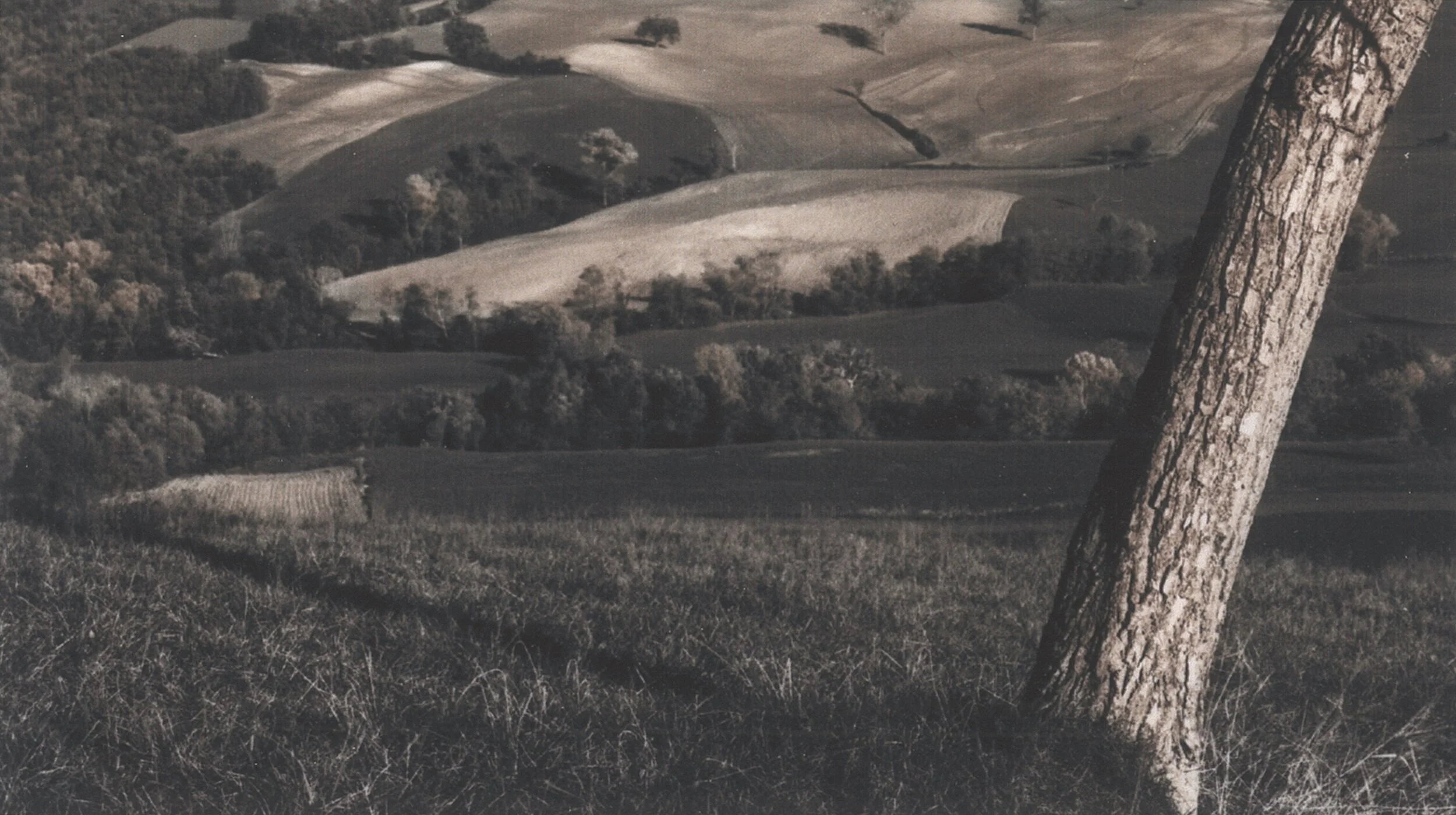 Protecting Terroir - 25 Magazine: Issue 3