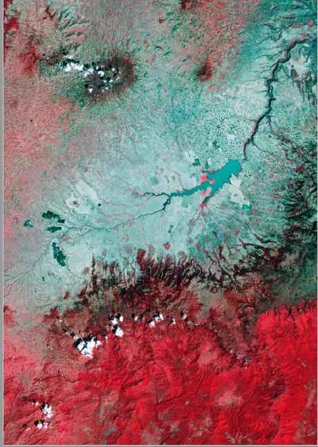 Landsat 8 false color composite satellite image for West Arsi and a part of the Sidamo coffee area, south-east of Hawassa. The bright red represents forest and forest-like vegetation, including coffee forest, and the lighter colors mainly represent cultivated and pastoral activities. Image: Landsat 8, United States Geological Survey (2015).