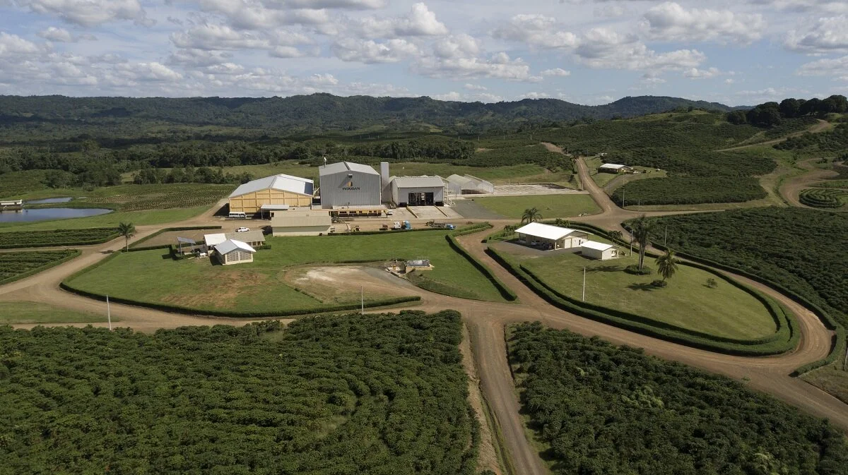 Aerial view of Café Santo Domingo’s farm.