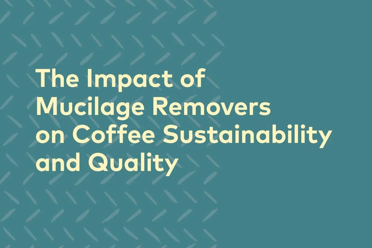 Design_Header.jpg