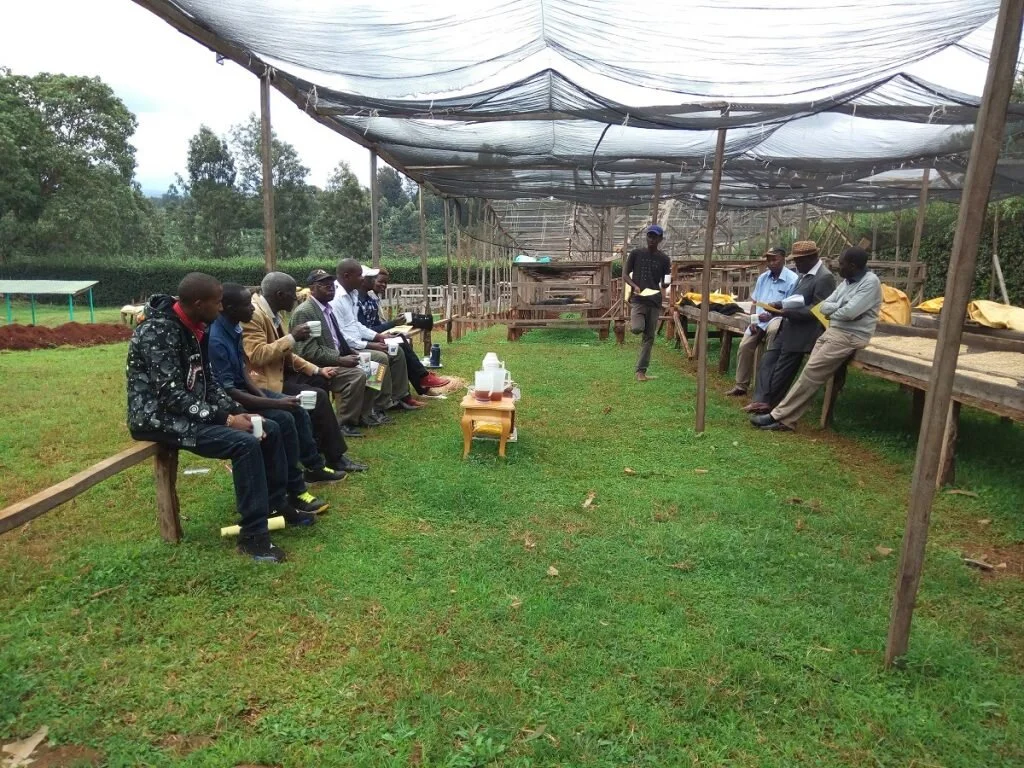 Peter leads a Kushikamana training session at Kamavindi with small estate farmers from Meru, a region with a deep coffee history that has, in recent years, abandoned coffee production for more profitable crops. When they started, the coffees from the group scored below 80 points, but they are now cupping in the range of 84–87 and the group has more than tripled their volume.