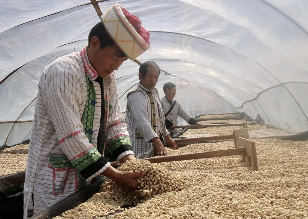 &nbsp;Zhan Li (left) and Hei Bao Nong (right), both of the Lisu minority, monitor the progress of a lot out to dry.