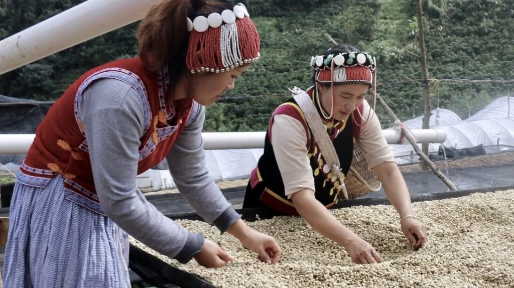 Li Xiu Zhen (left) and Yu Hua Mei (right), also of the Lisu minority, work to remove defects from drying green.