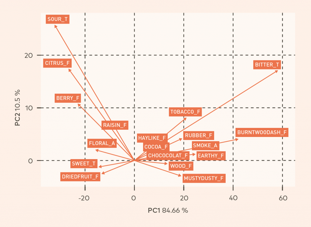 Fig. 2: The bottom plot outlines the flavor attributes of each grouping. Use the top plot as a map for the bottom: the cone of light-roasted coffee yielded notes of sour, citrus, and berry; the basket, notes of raisin, dried fruit, and sweet florals.