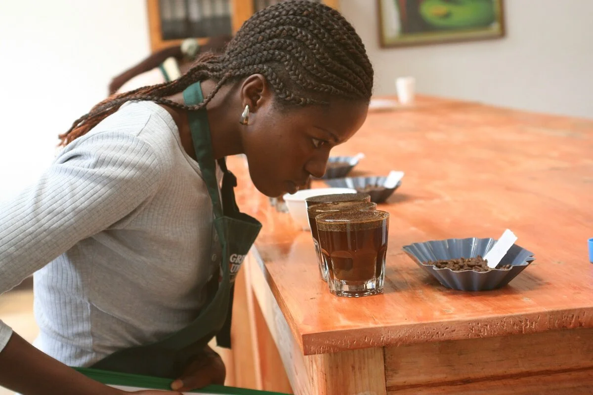 Growing Specialty Coffee in Times of Conflict: Case Studies in East Africa - 25 Magazine, Issue 8
