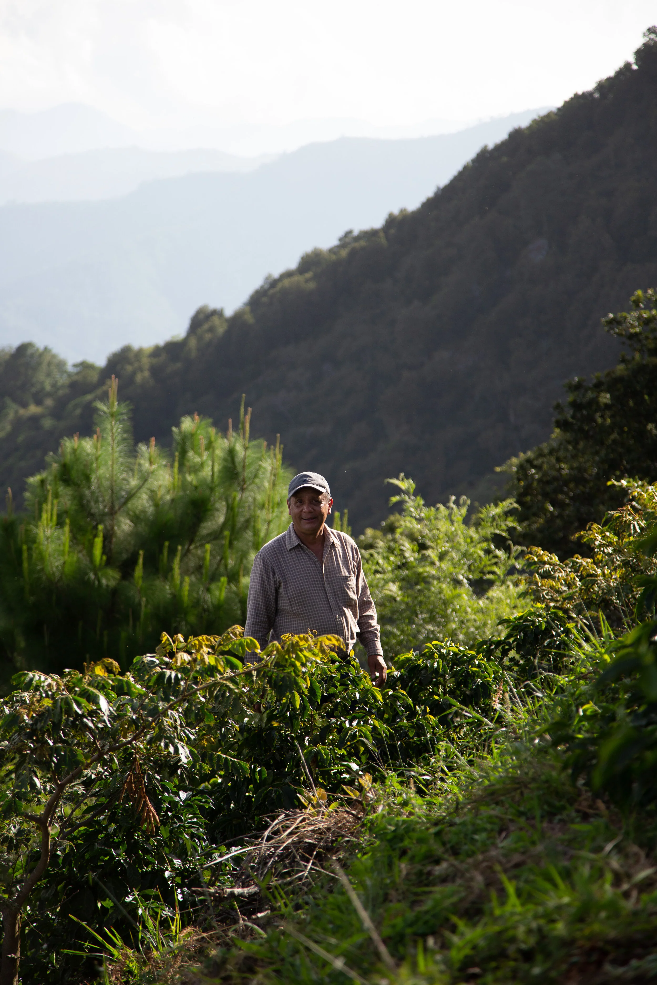 Vinicio Gonzalez Solares, past-president and founding farmer of the Farmer Association of Concepcion Pinula, Guatemala (Vinicio and his community were the first small farming community of Thrive Farmers in Guatemala). Photo provided by Thrive Farmer…