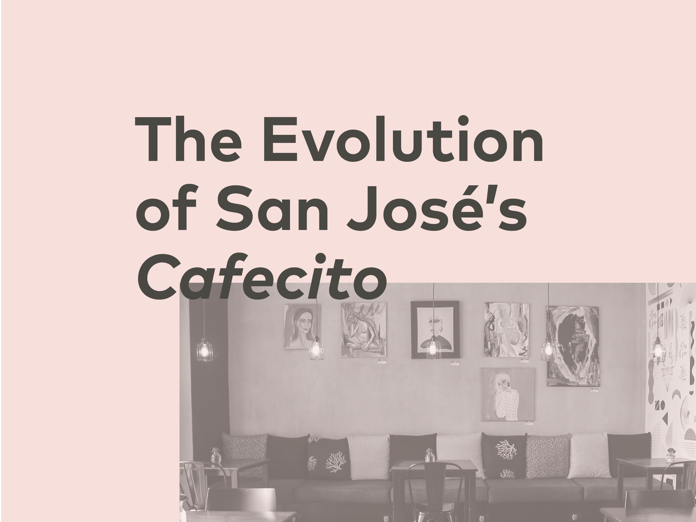The Evolution of San José’s Cafecito | 25, Issue 16