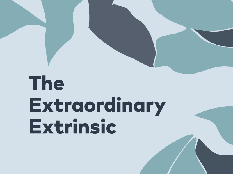  The Extraordinary Extrinsic | 25, Issue 20