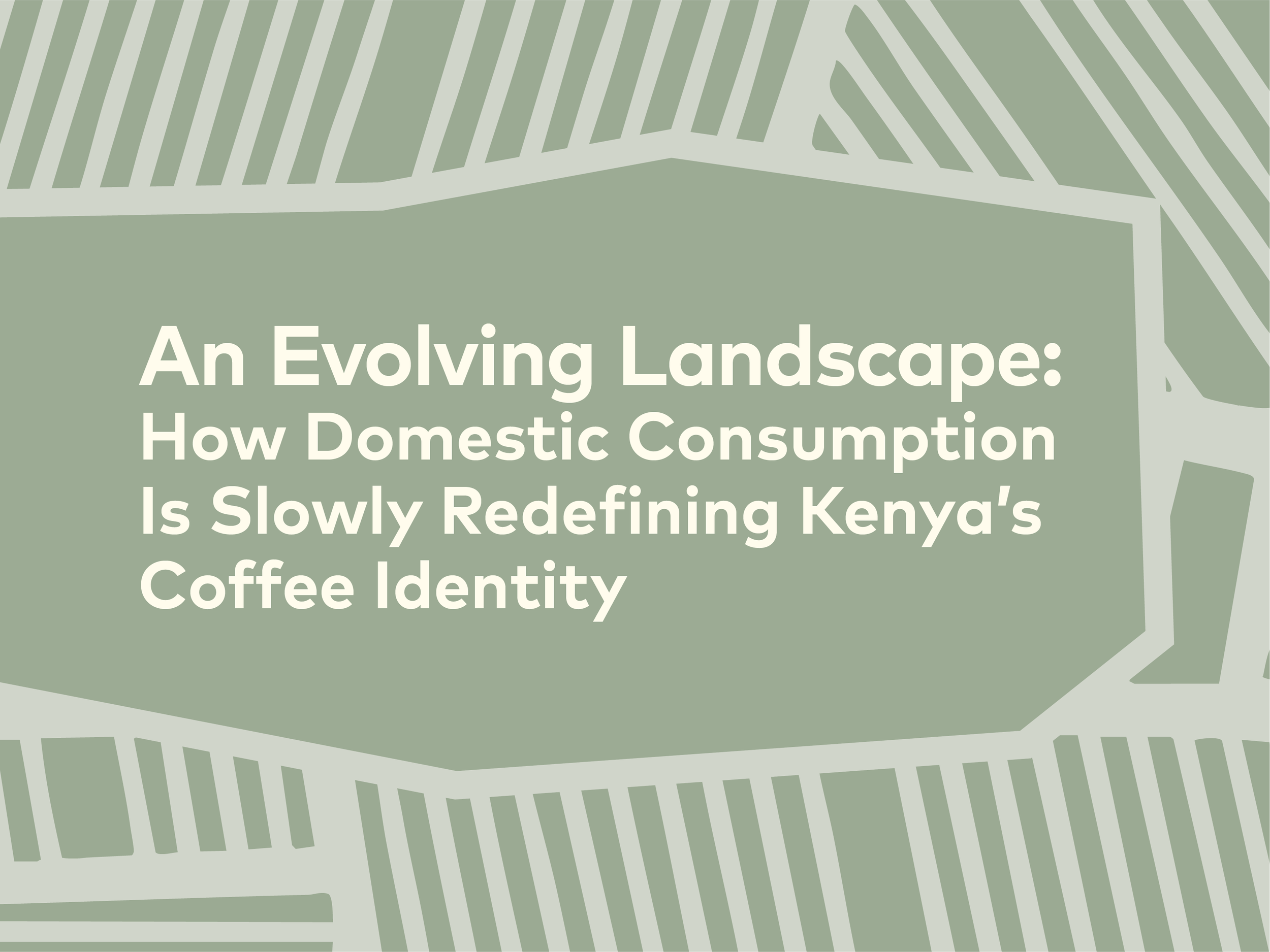 An Evolving Landscape: How Domestic Consumption Is Slowly Redefining Kenya’s Coffee Identity | 25, Issue 24