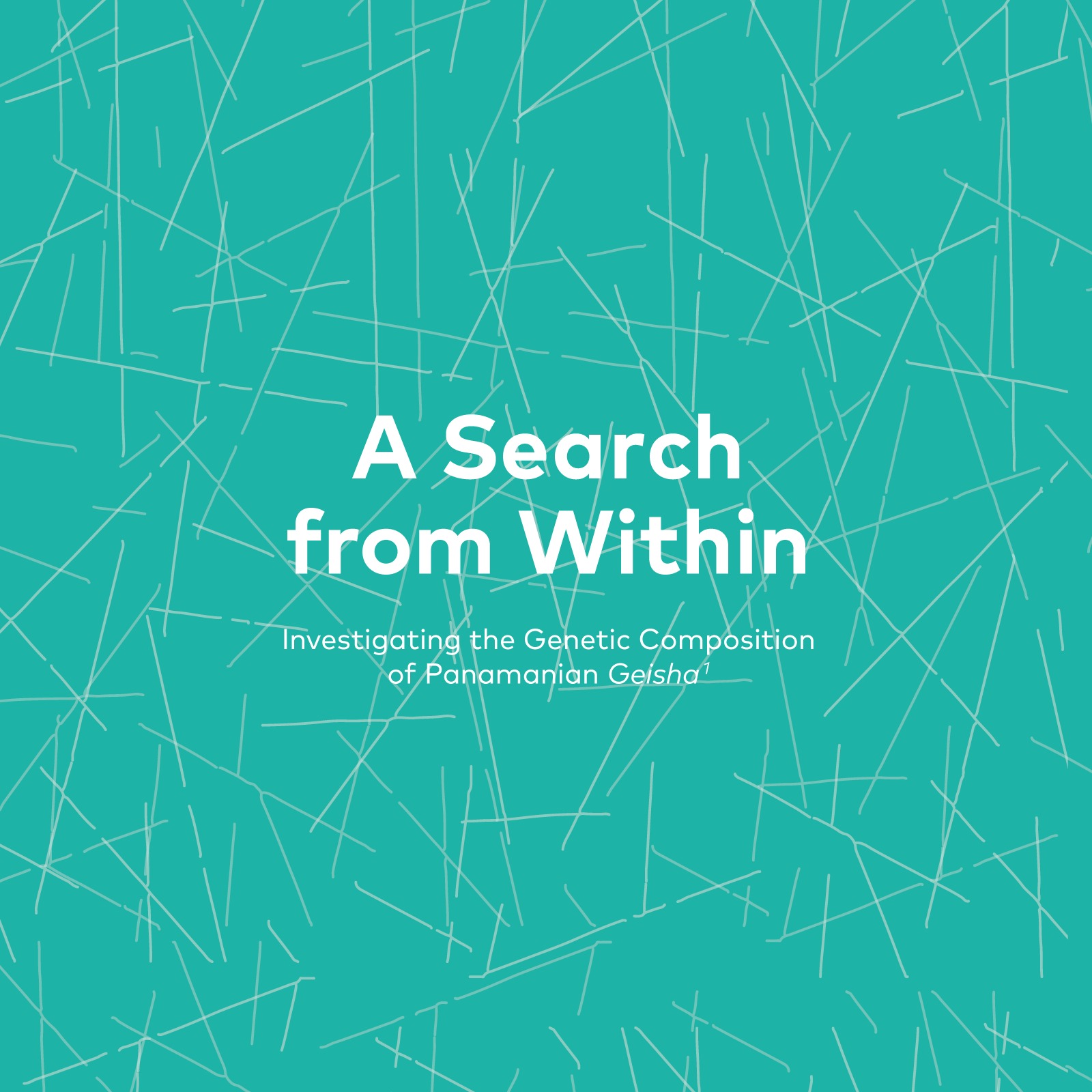 A Search from Within: Investigating the Genetic Composition of Panamanian Geisha - 25 Magazine, Issue 9