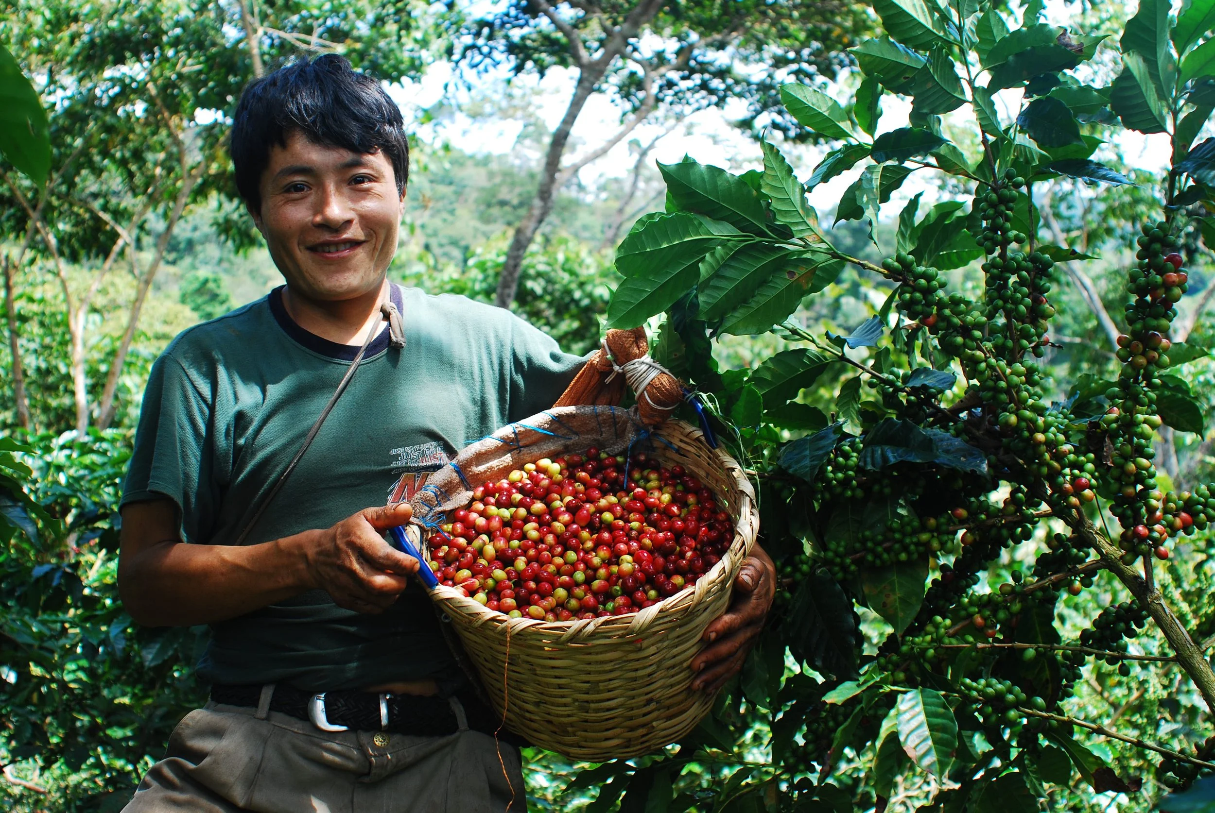 A Brief History of Peru’s Specialty Coffee Production and Consumption